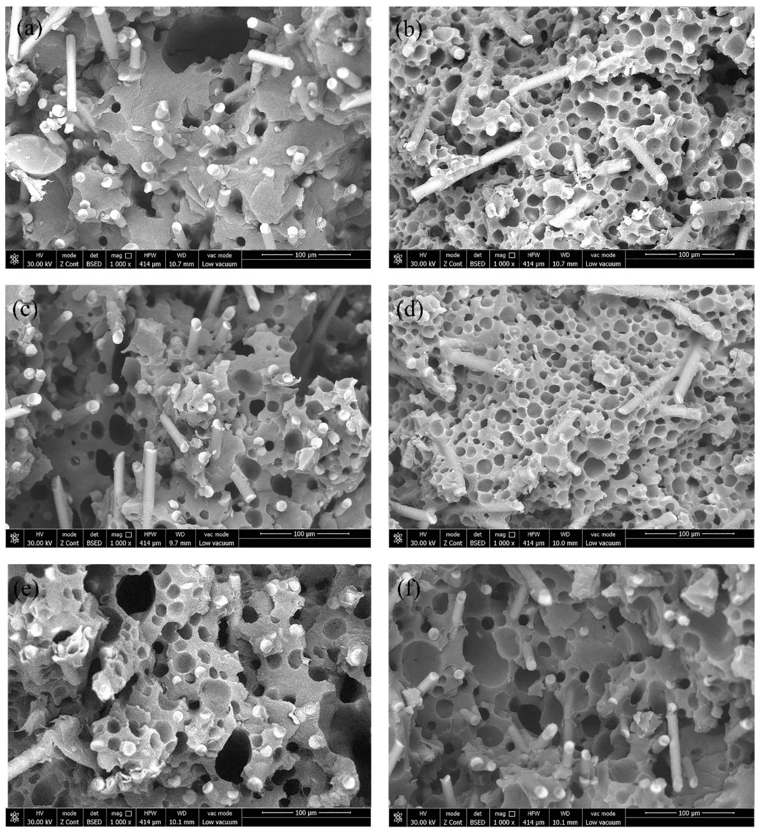 Polymers 12 02368 g002