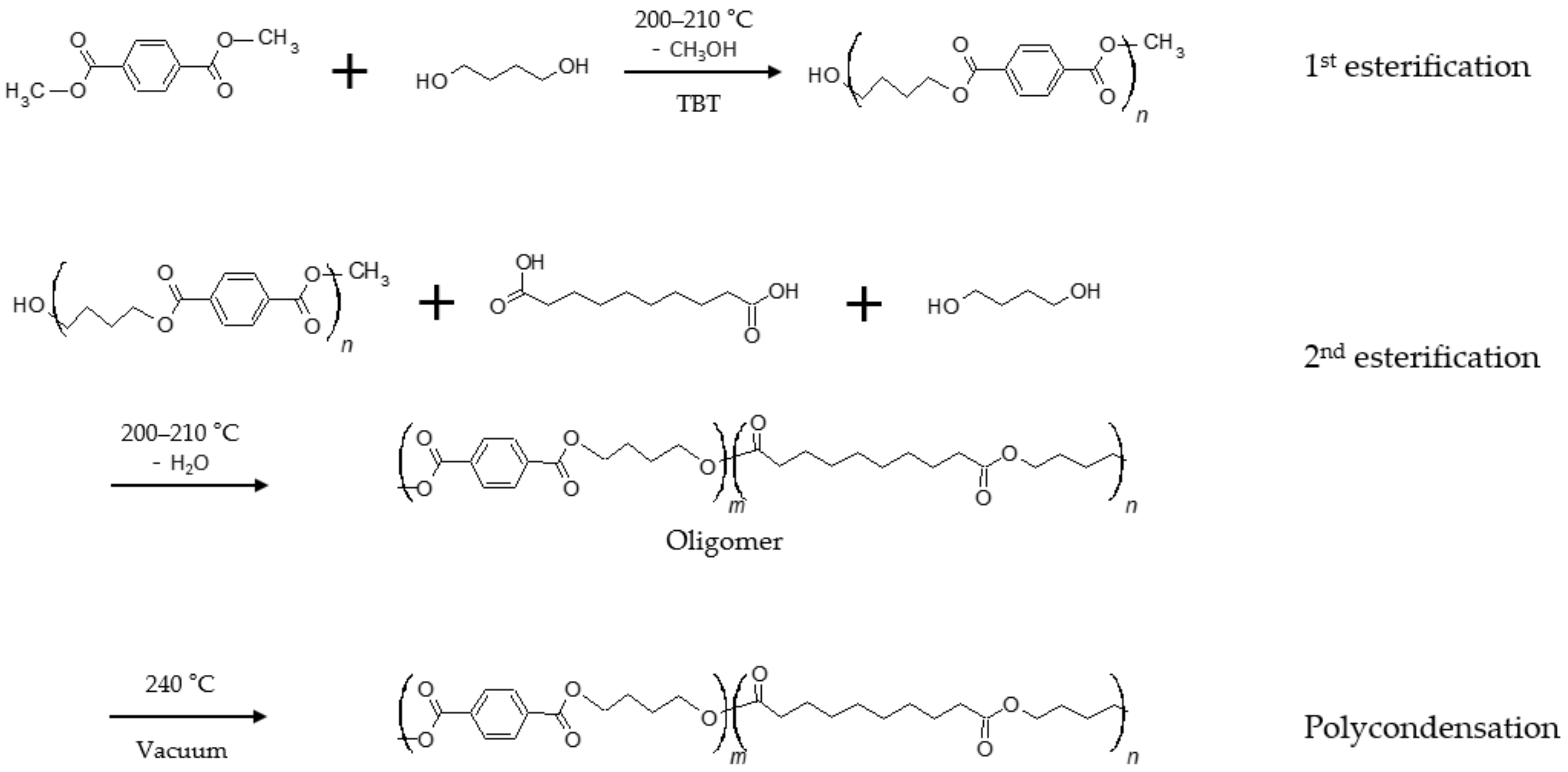 Polymers 12 02389 g001