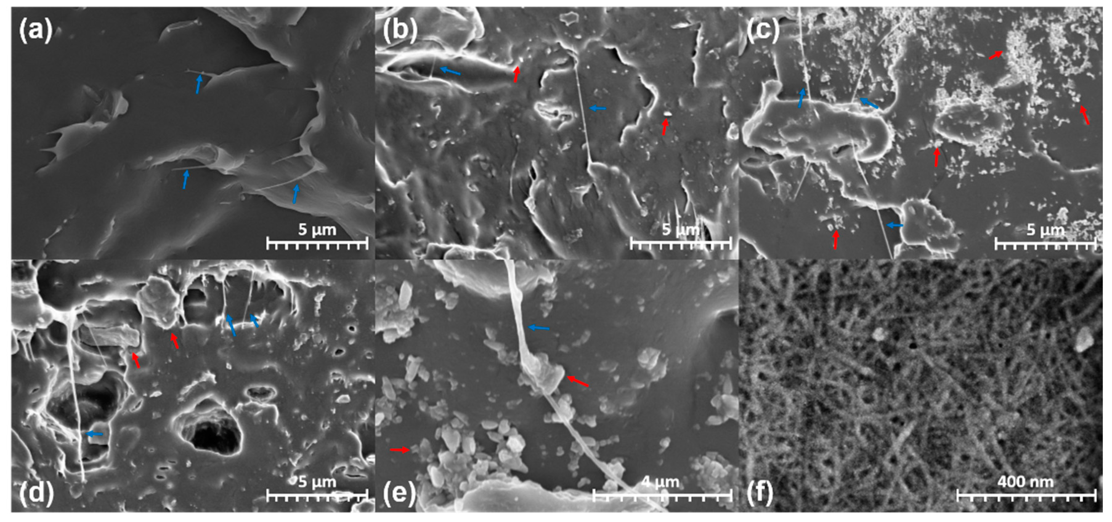 Polymers 12 02399 g004 Polymers 12 02399 g004
