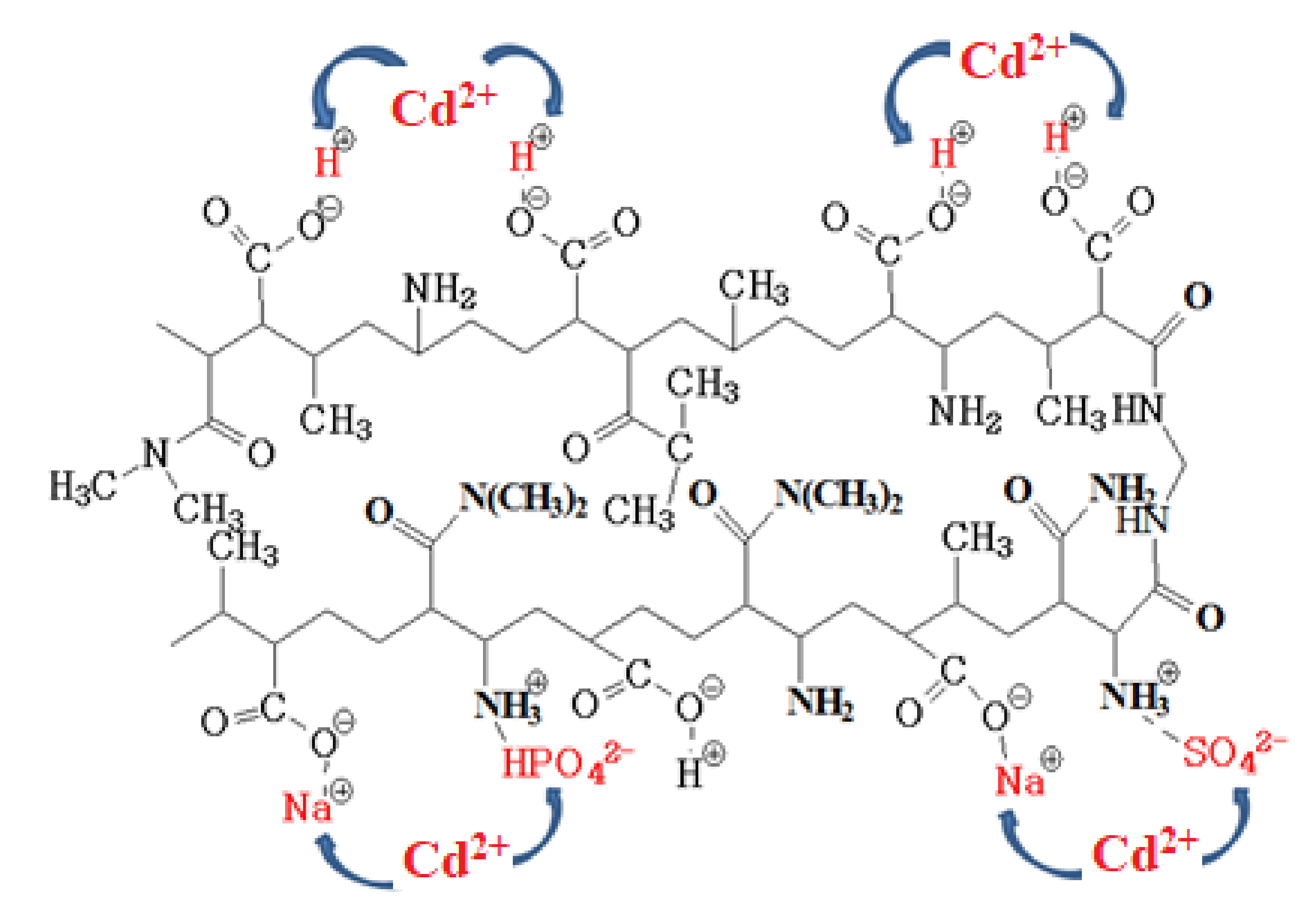 Polymers 12 02405 g009