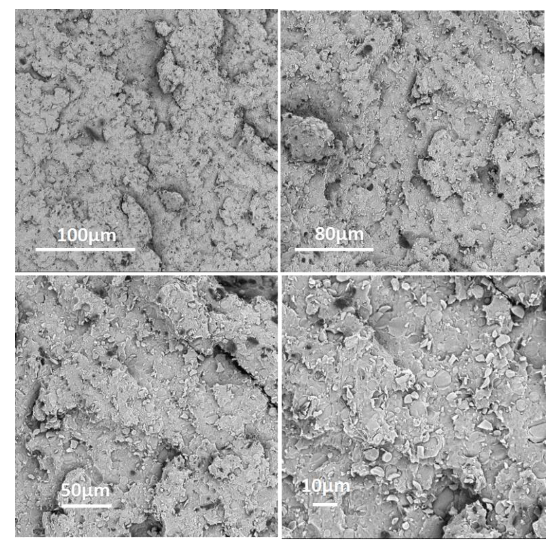 Polymers 12 02407 g010