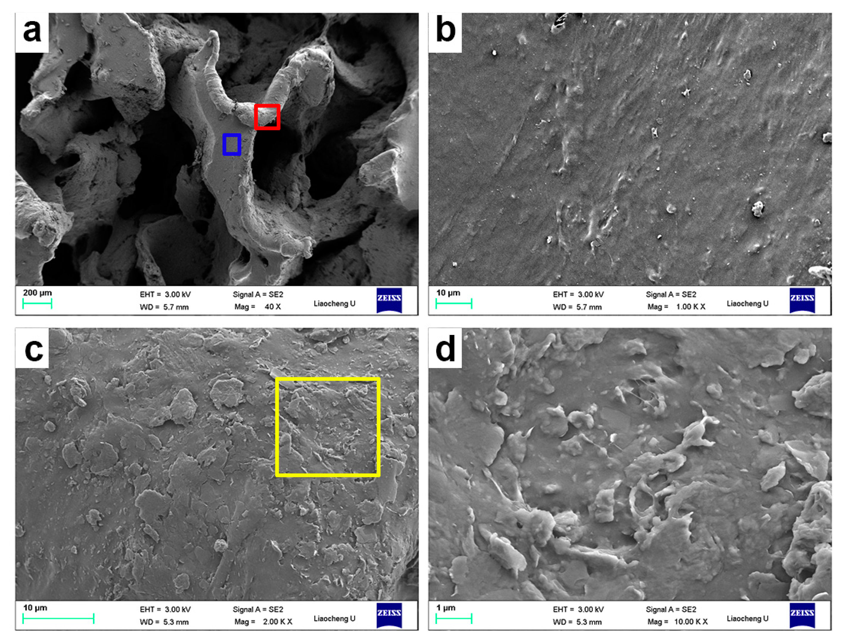 Polymers 12 02411 g002
