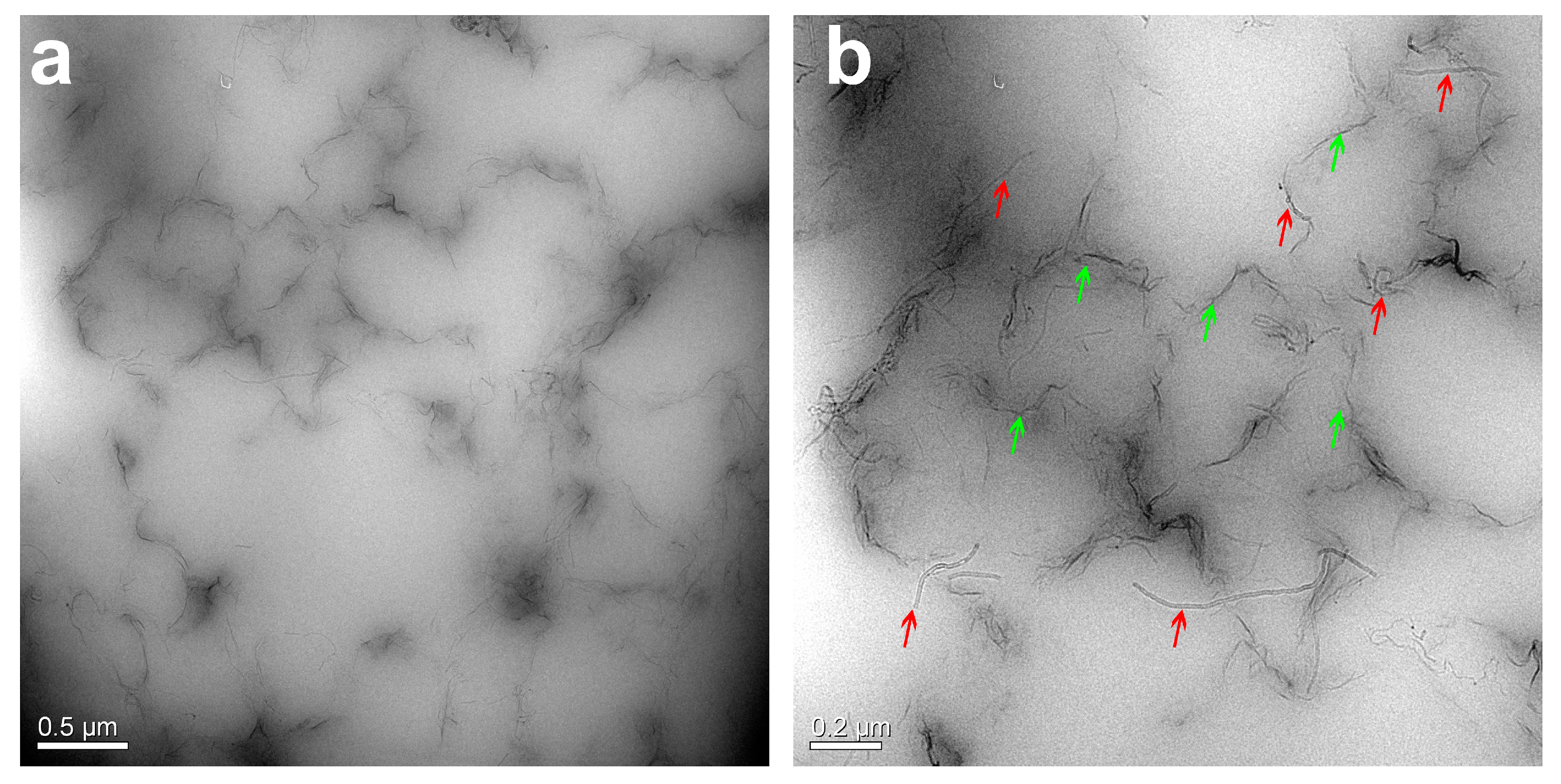 Polymers 12 02411 g003