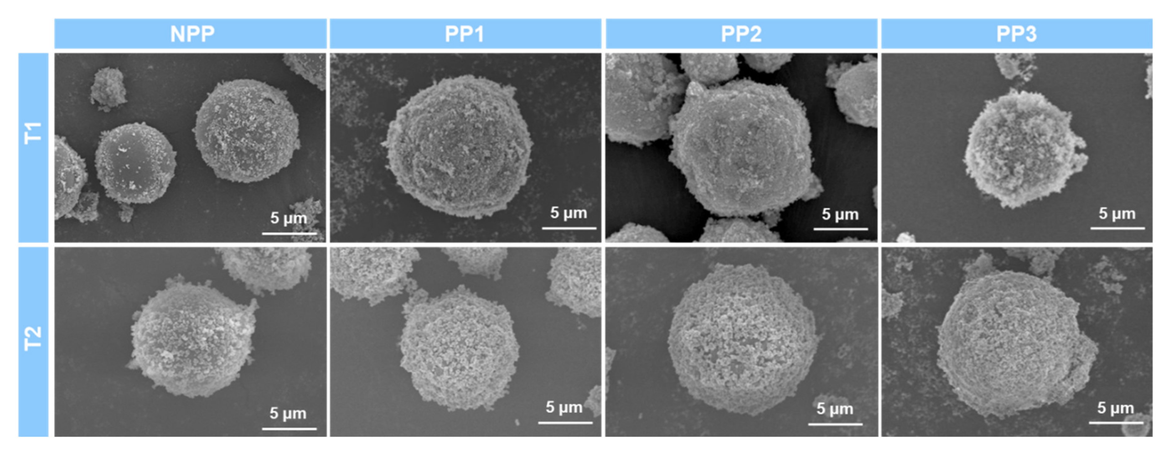 Polymers 12 02418 g004