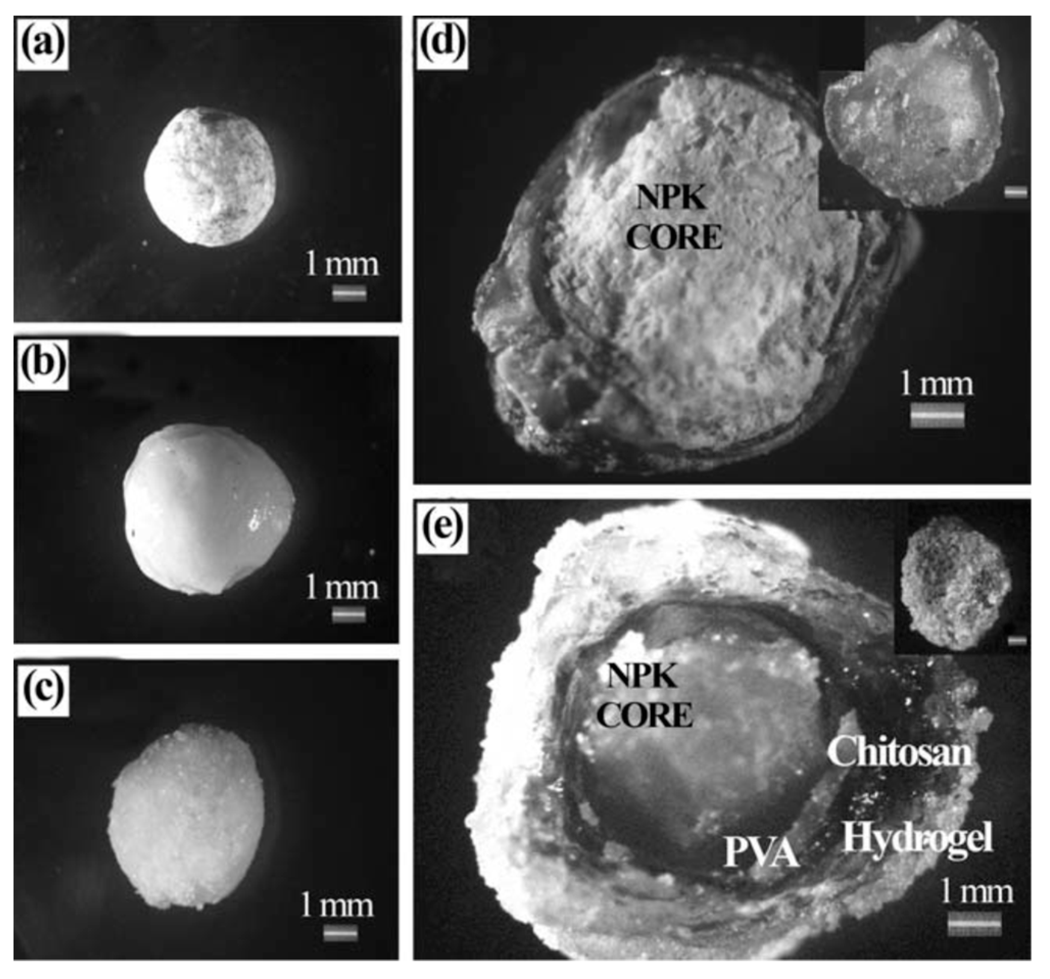 Polymers 12 02425 g002 Polymers 12 02425 g002