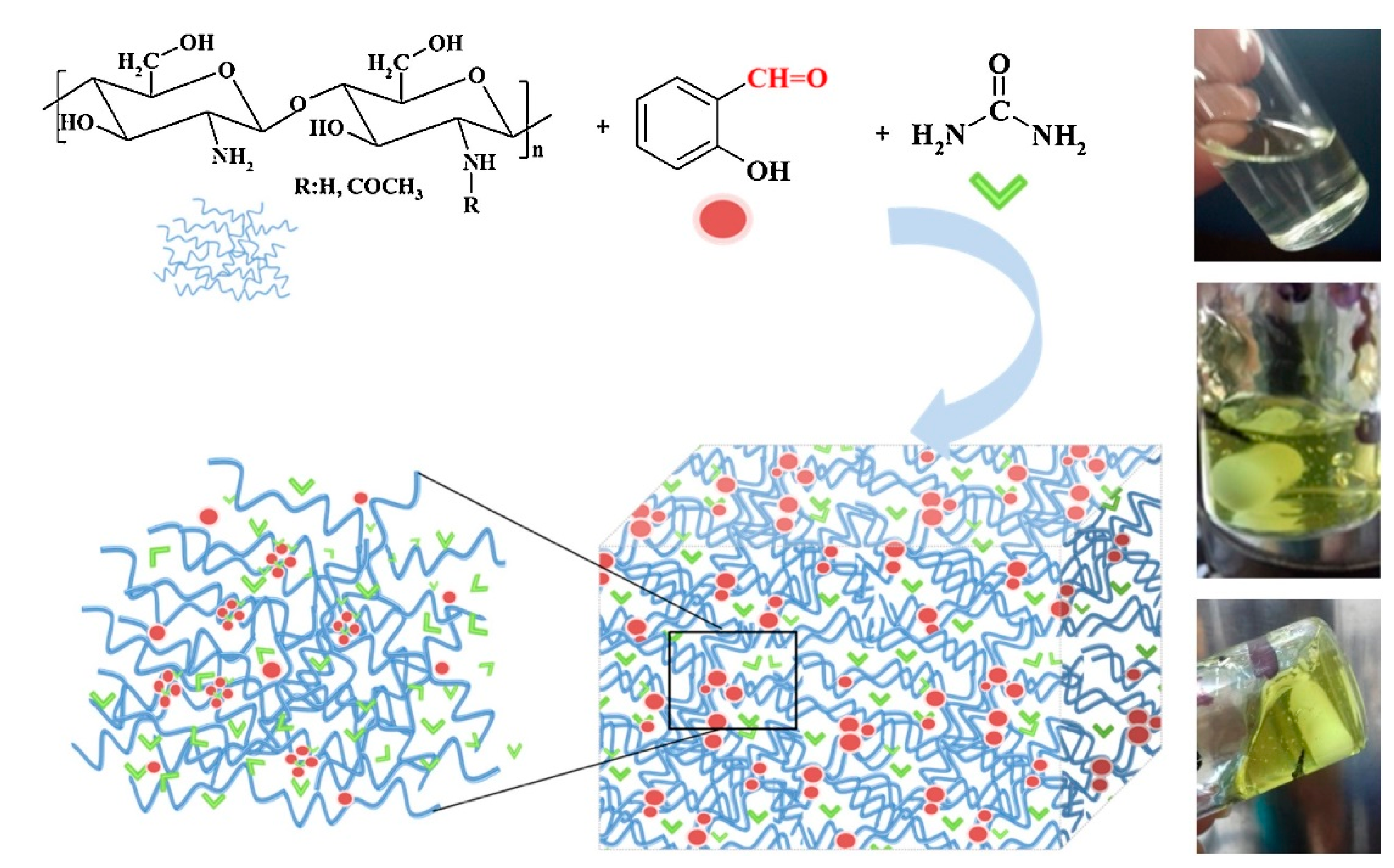 Polymers 12 02425 g004 Polymers 12 02425 g004