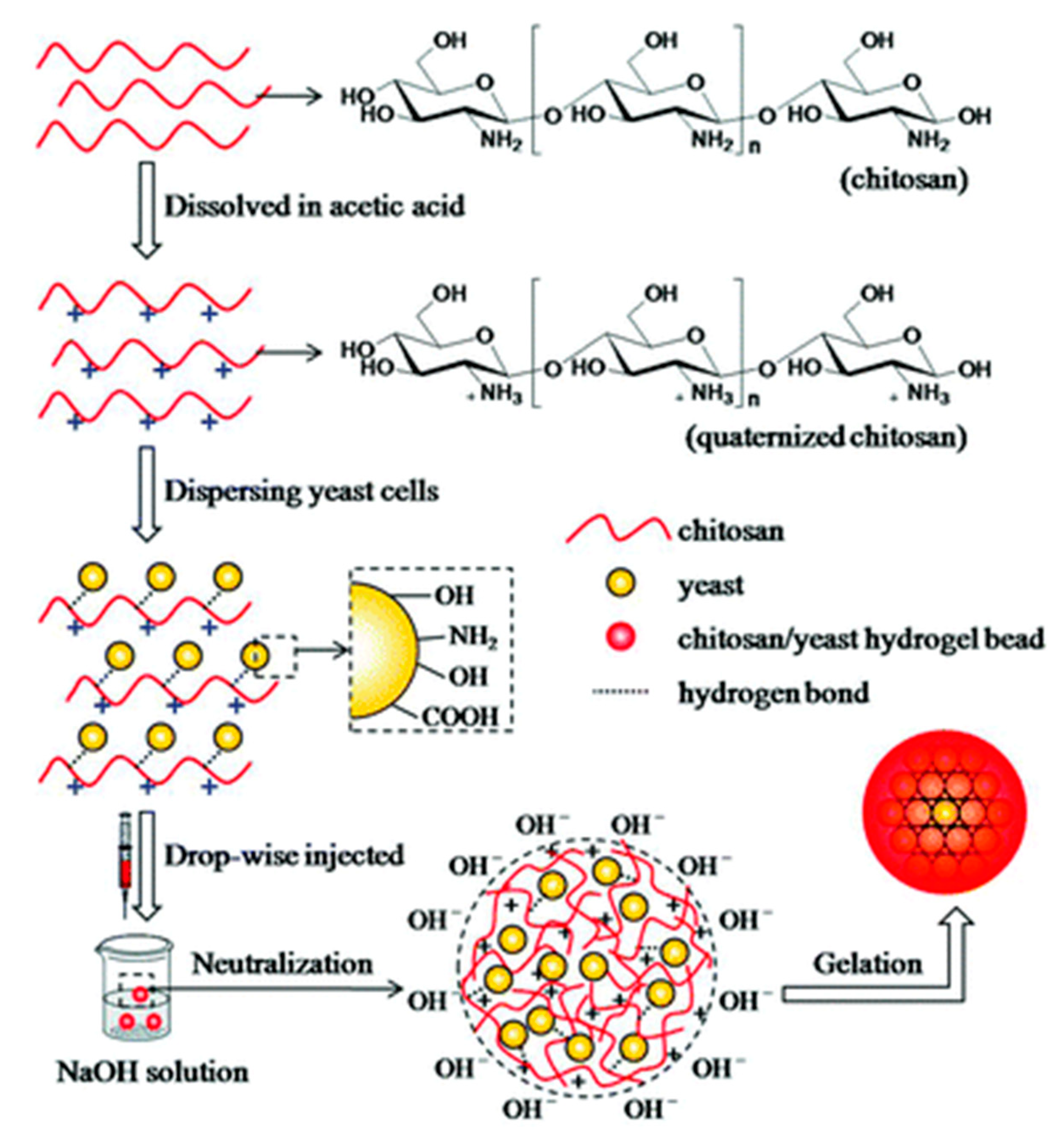 Polymers 12 02425 g006 Polymers 12 02425 g006