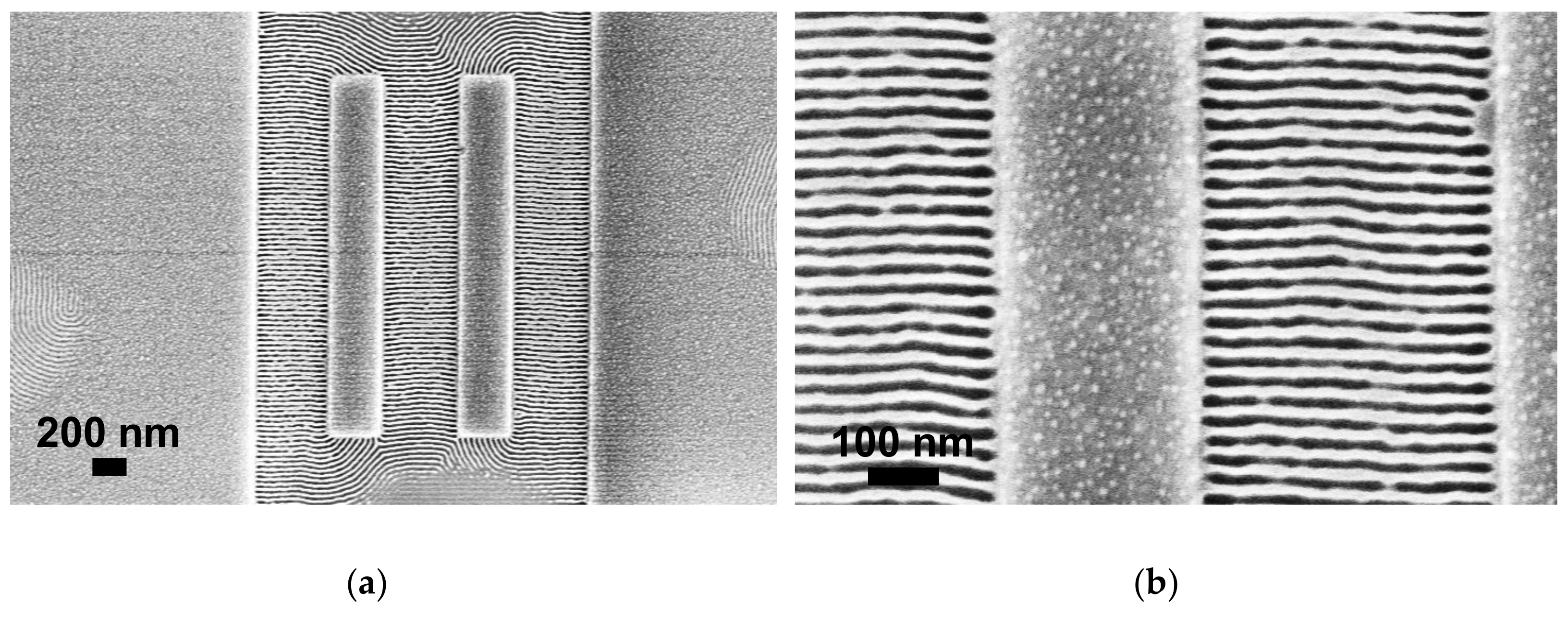 Polymers 12 02432 g006