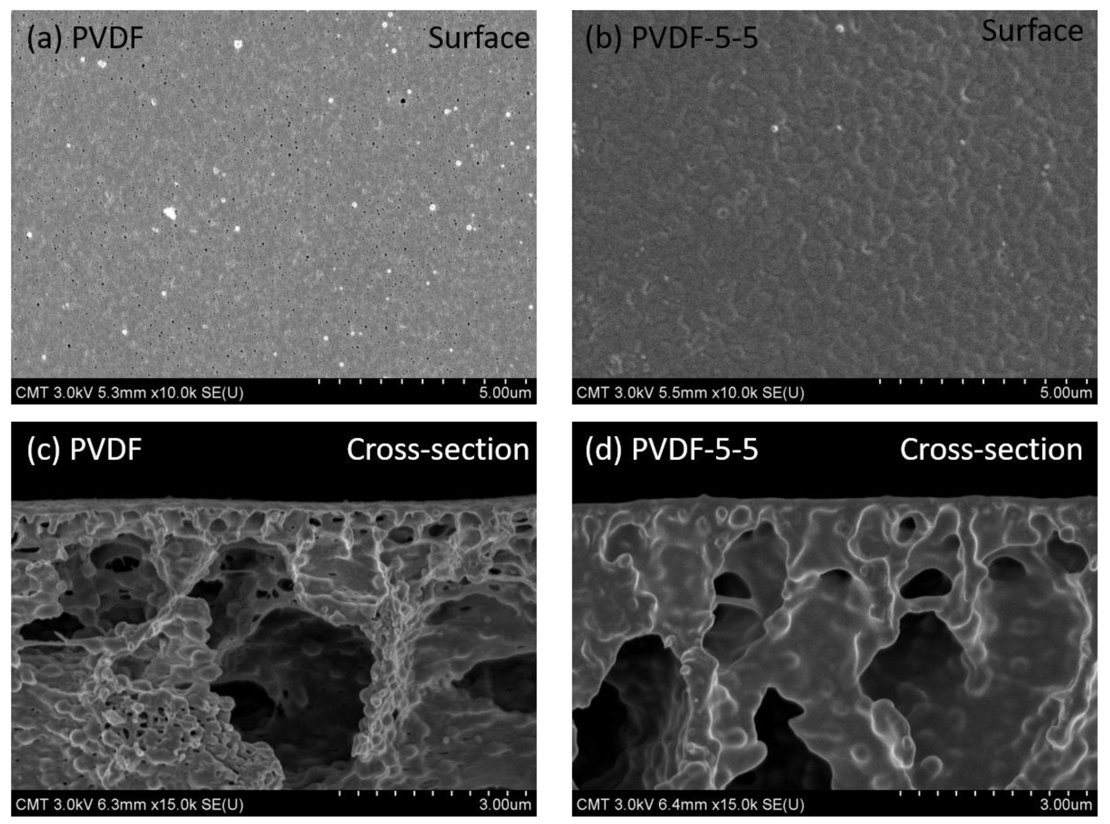 Polymers 12 02443 g003
