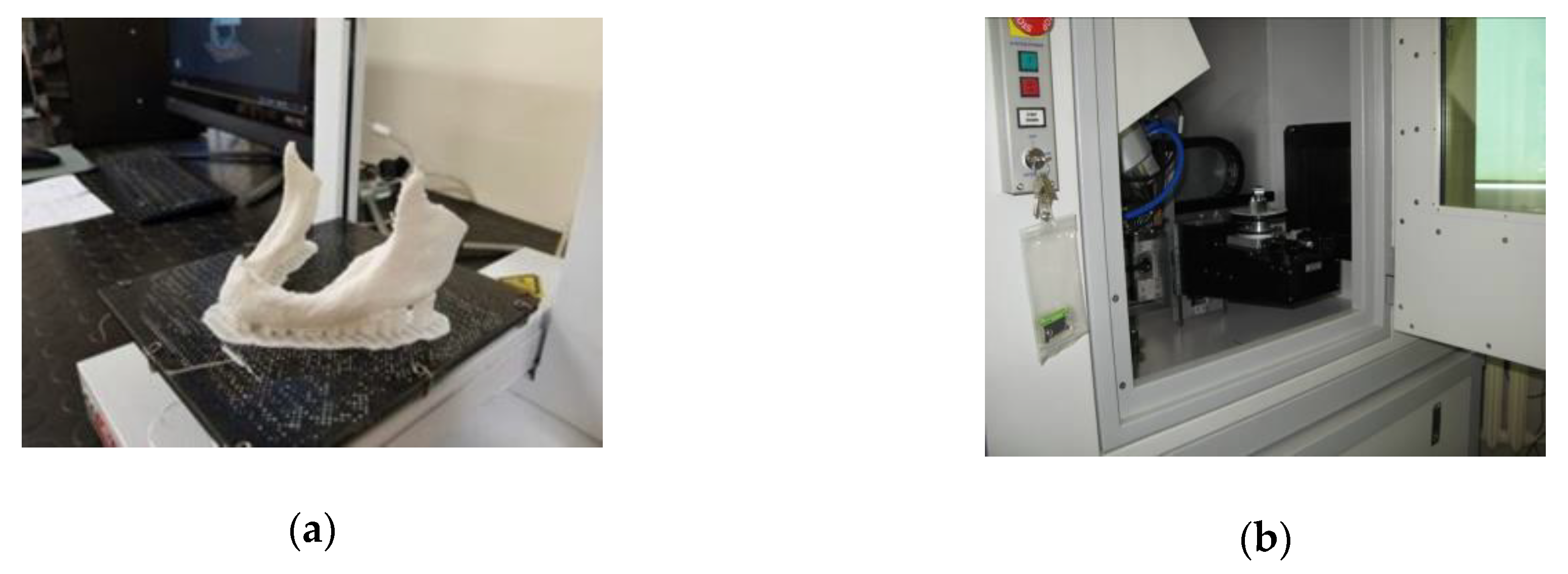 Polymers 12 02444 g002