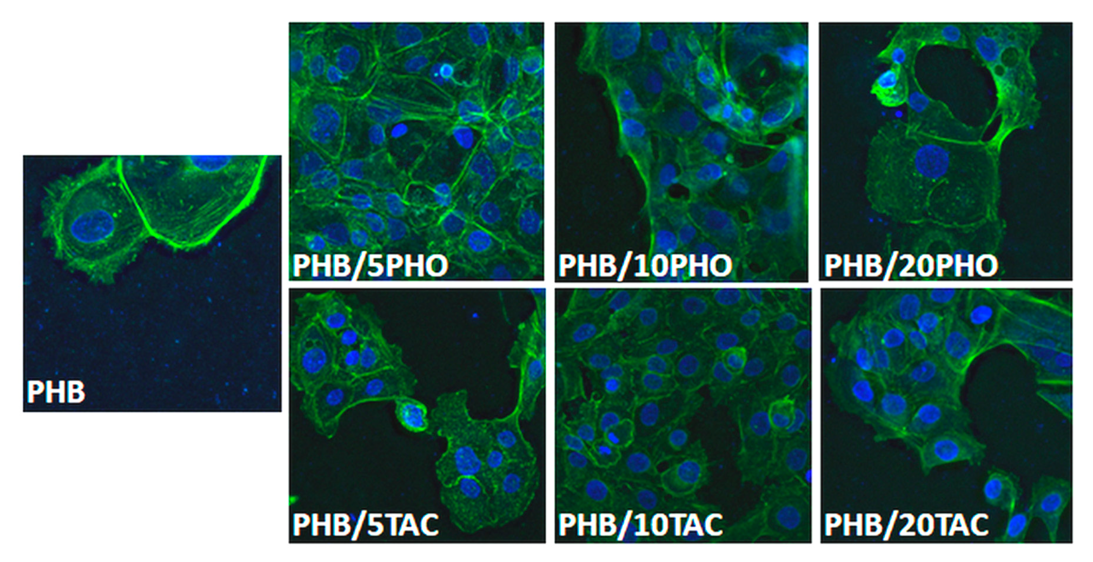 Polymers 12 02446 g010