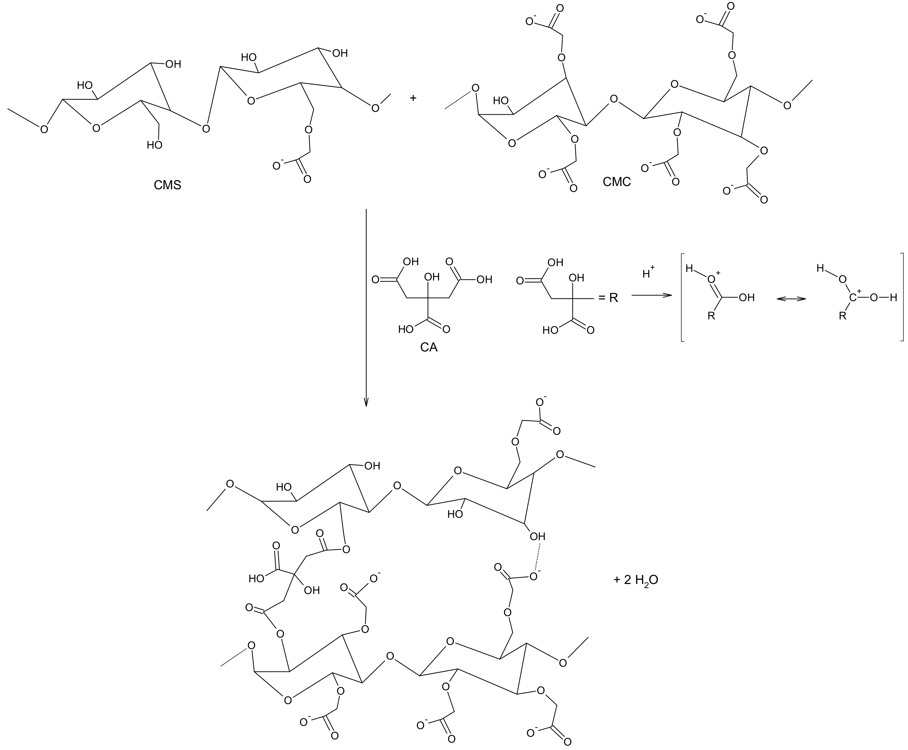 Polymers 12 02447 g002