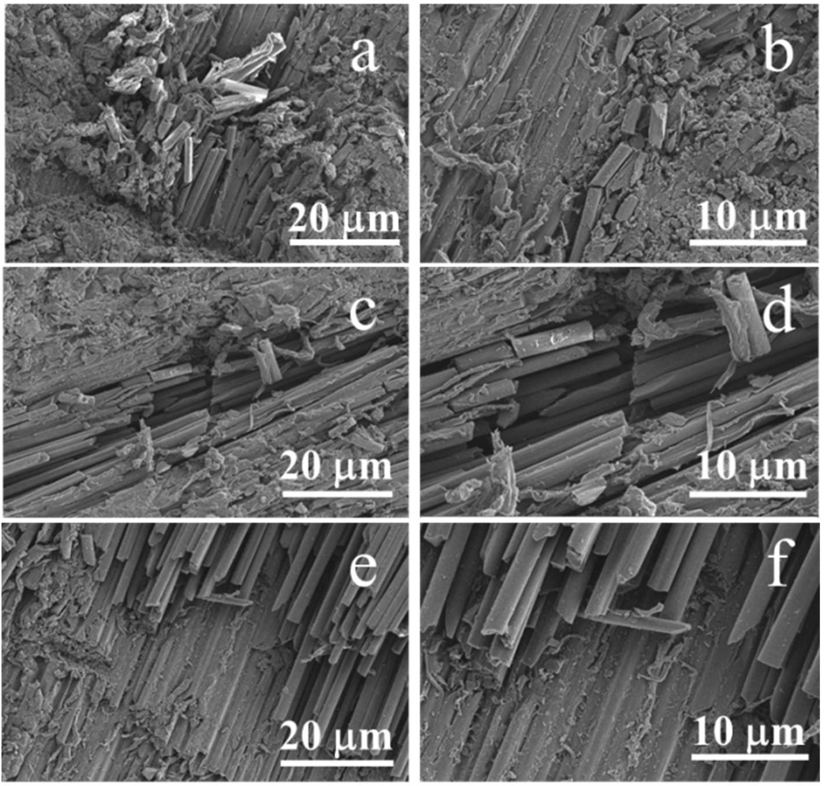 Polymers 12 02453 g009