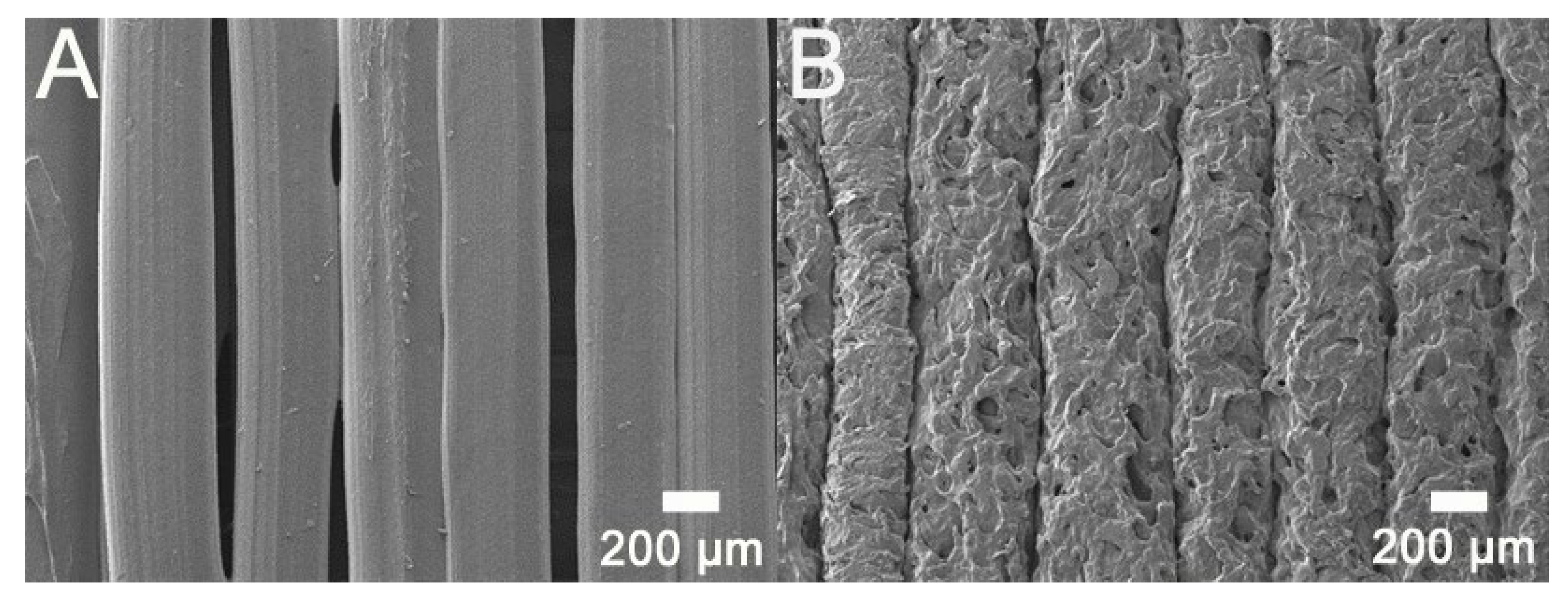 Polymers 12 02456 g004