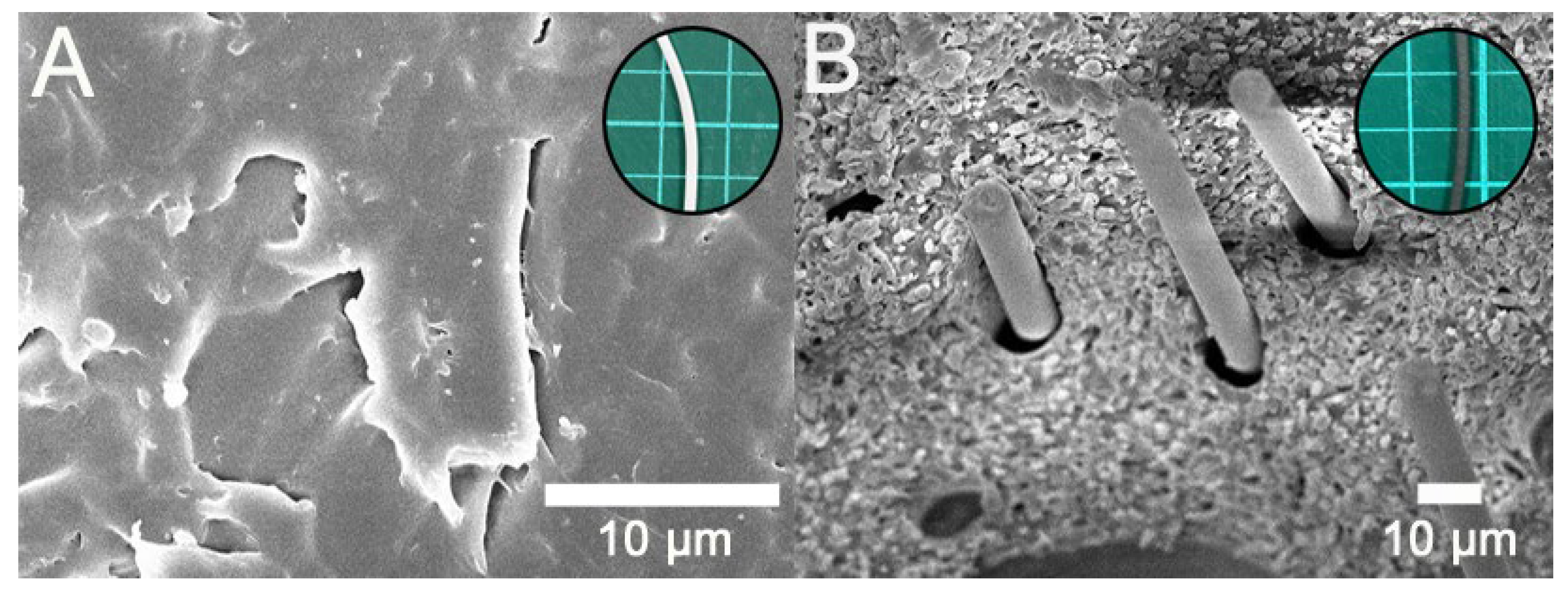 Polymers 12 02456 g005