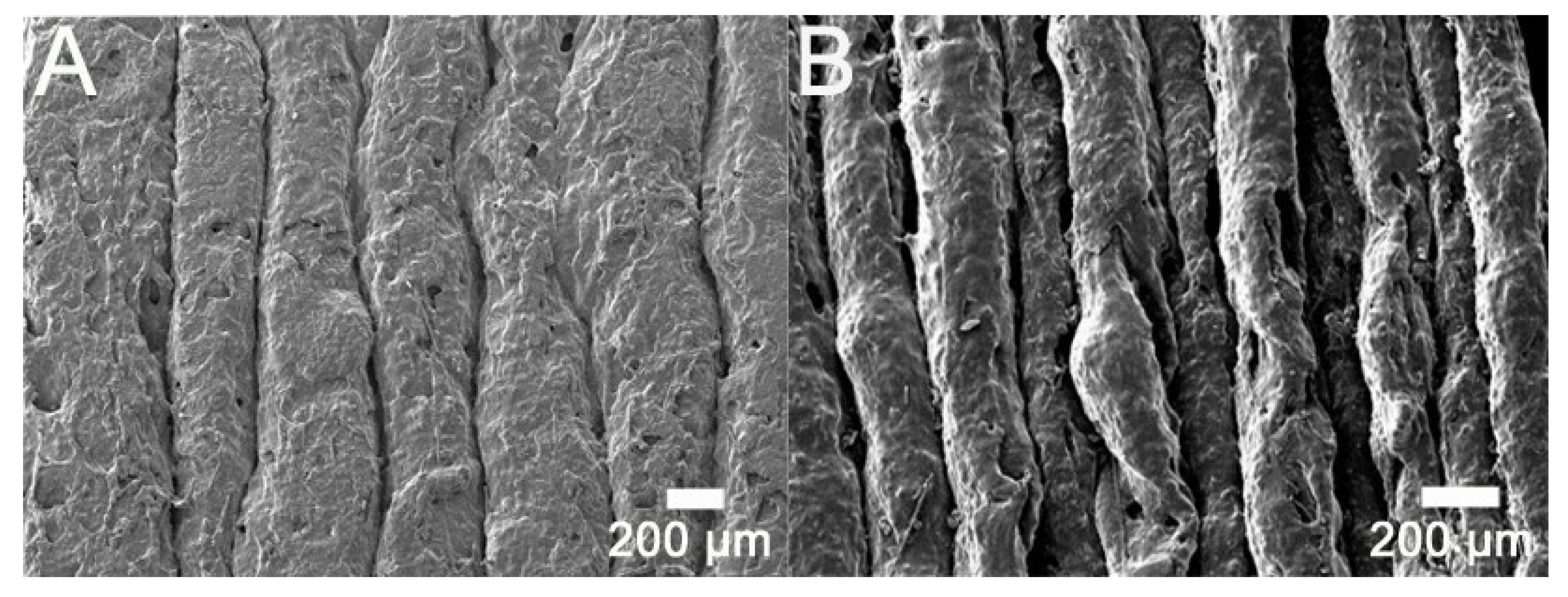 Polymers 12 02456 g009