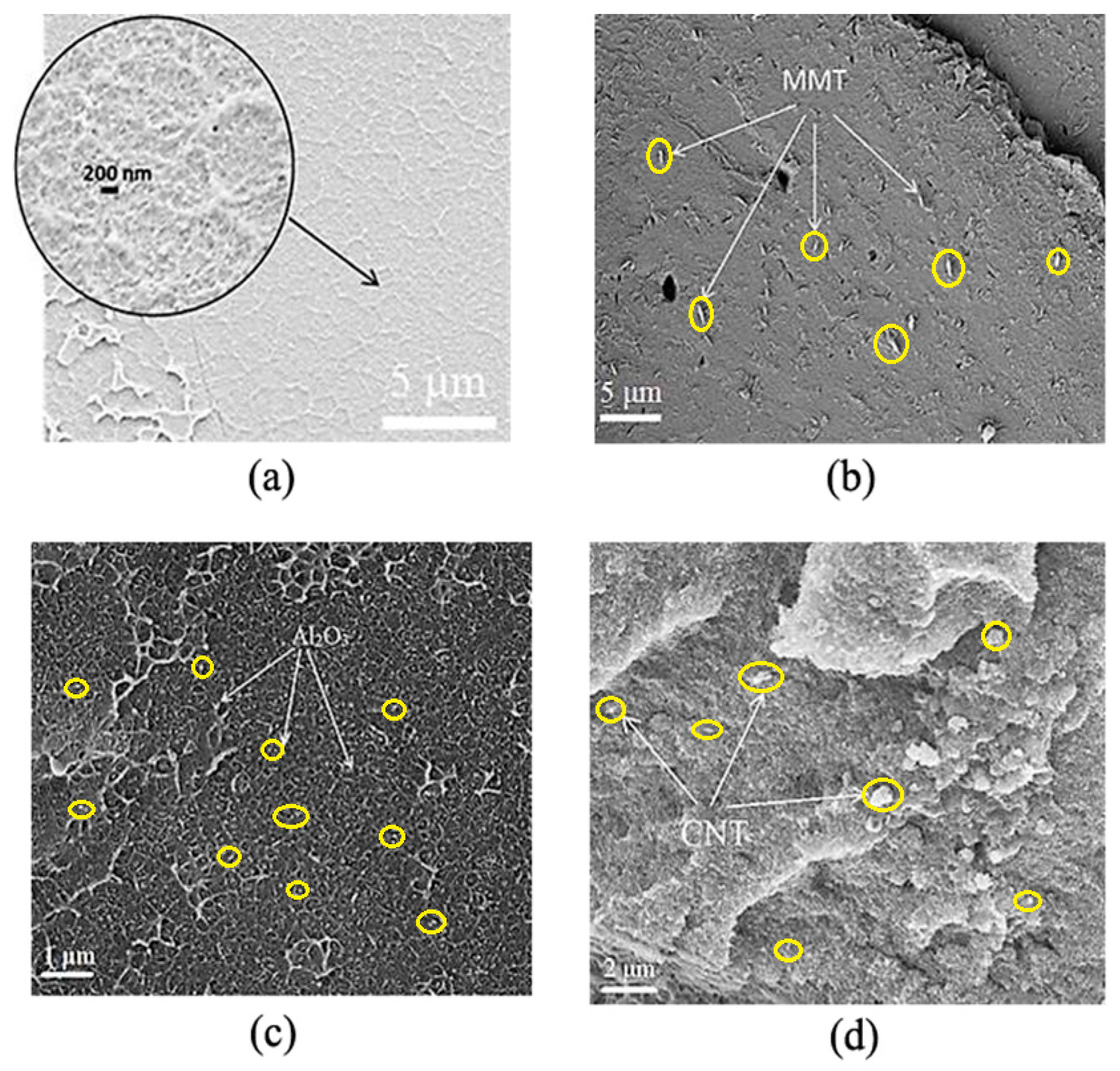 Polymers 12 02457 g003 Polymers 12 02457 g003