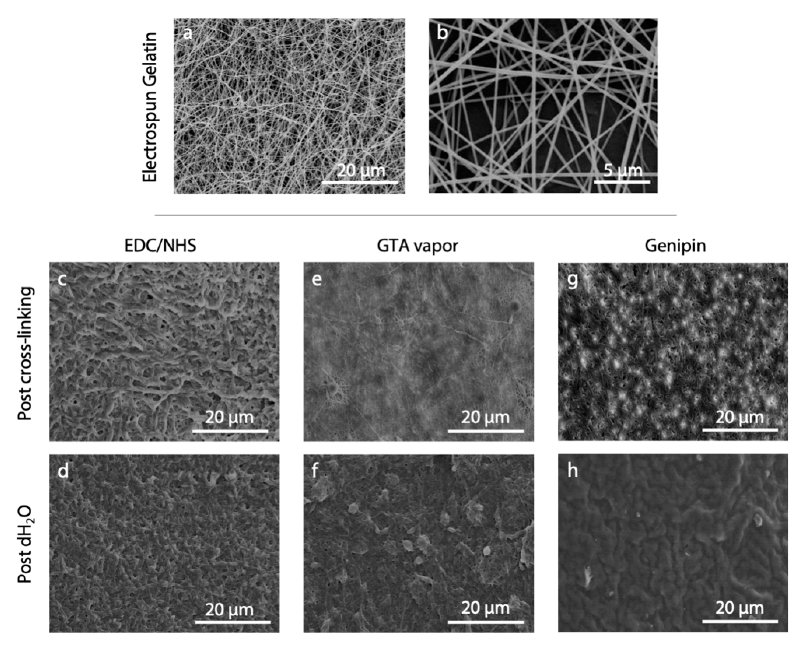 Polymers 12 02472 g002