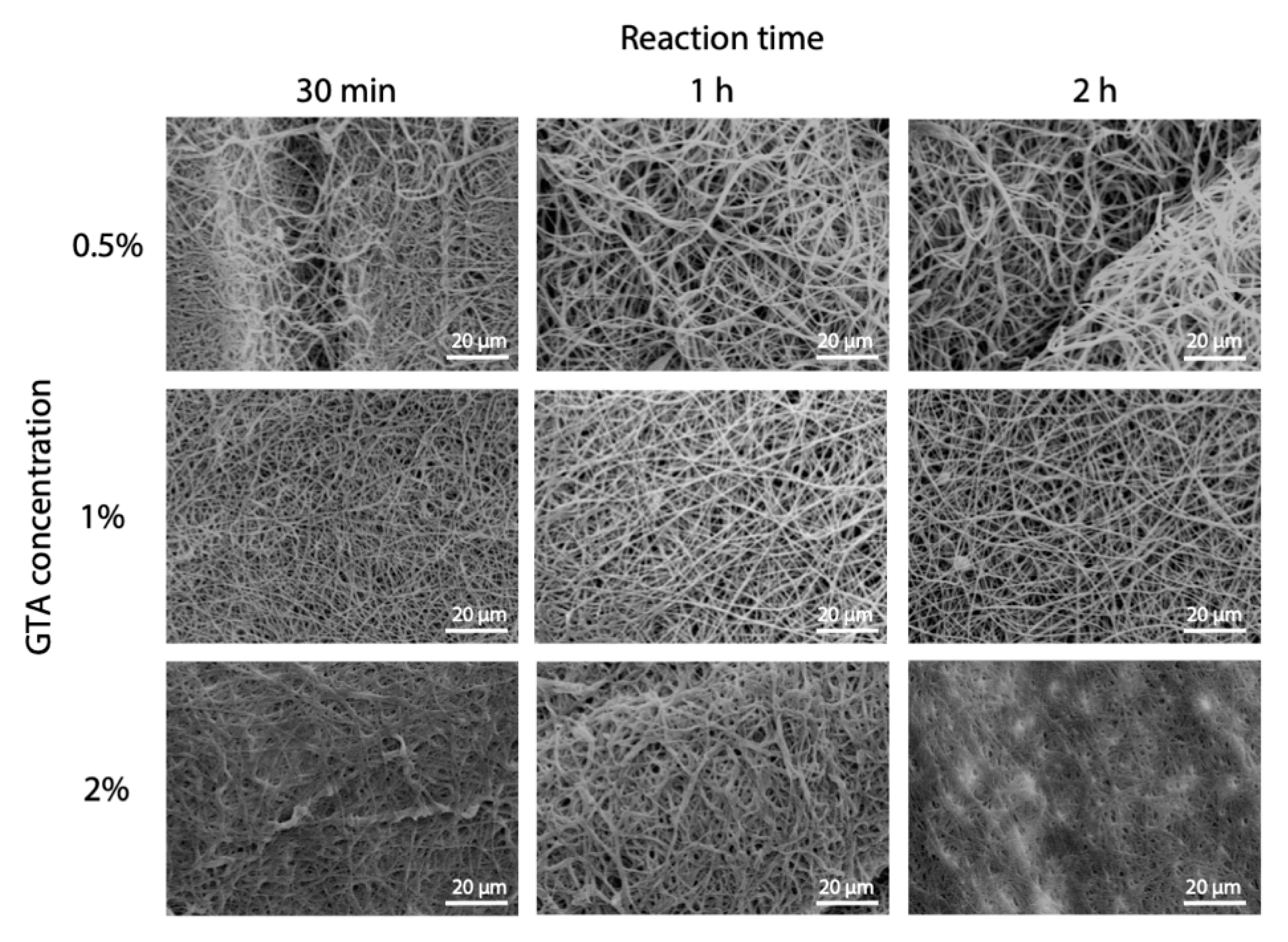 Polymers 12 02472 g005