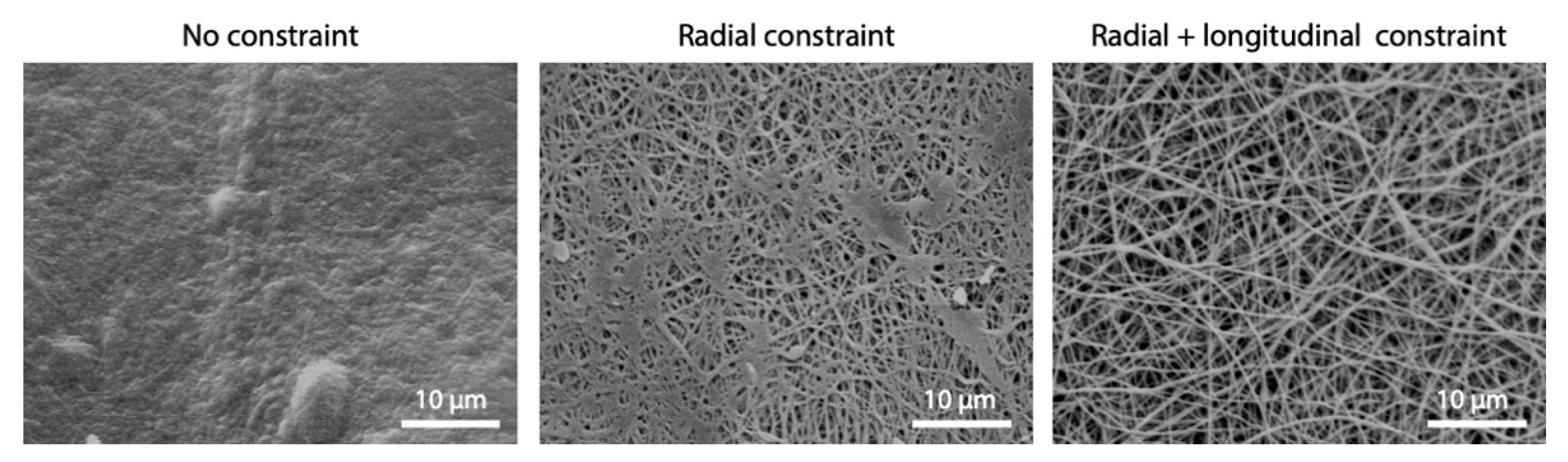 Polymers 12 02472 g008