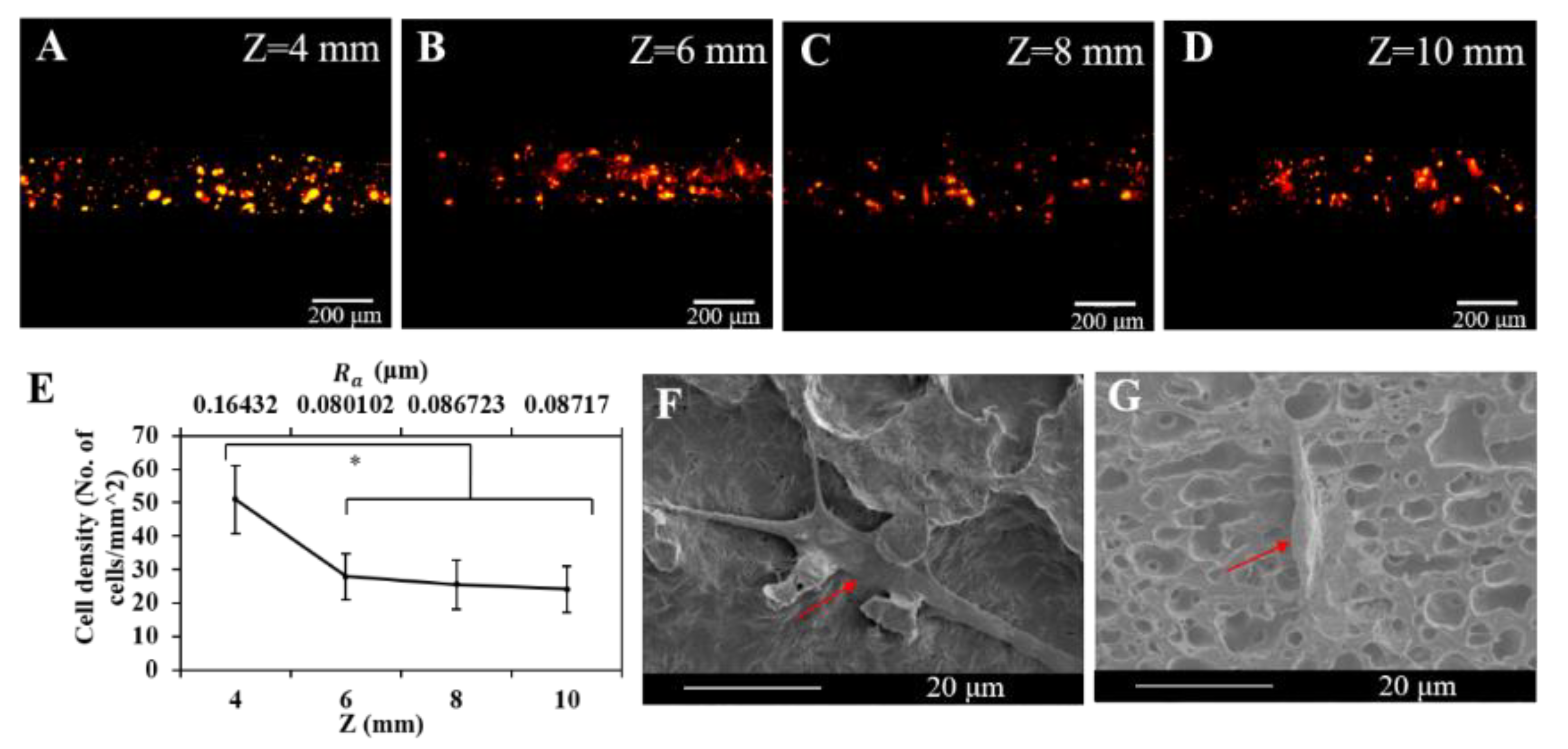 Polymers 12 02475 g008 Polymers 12 02475 g008