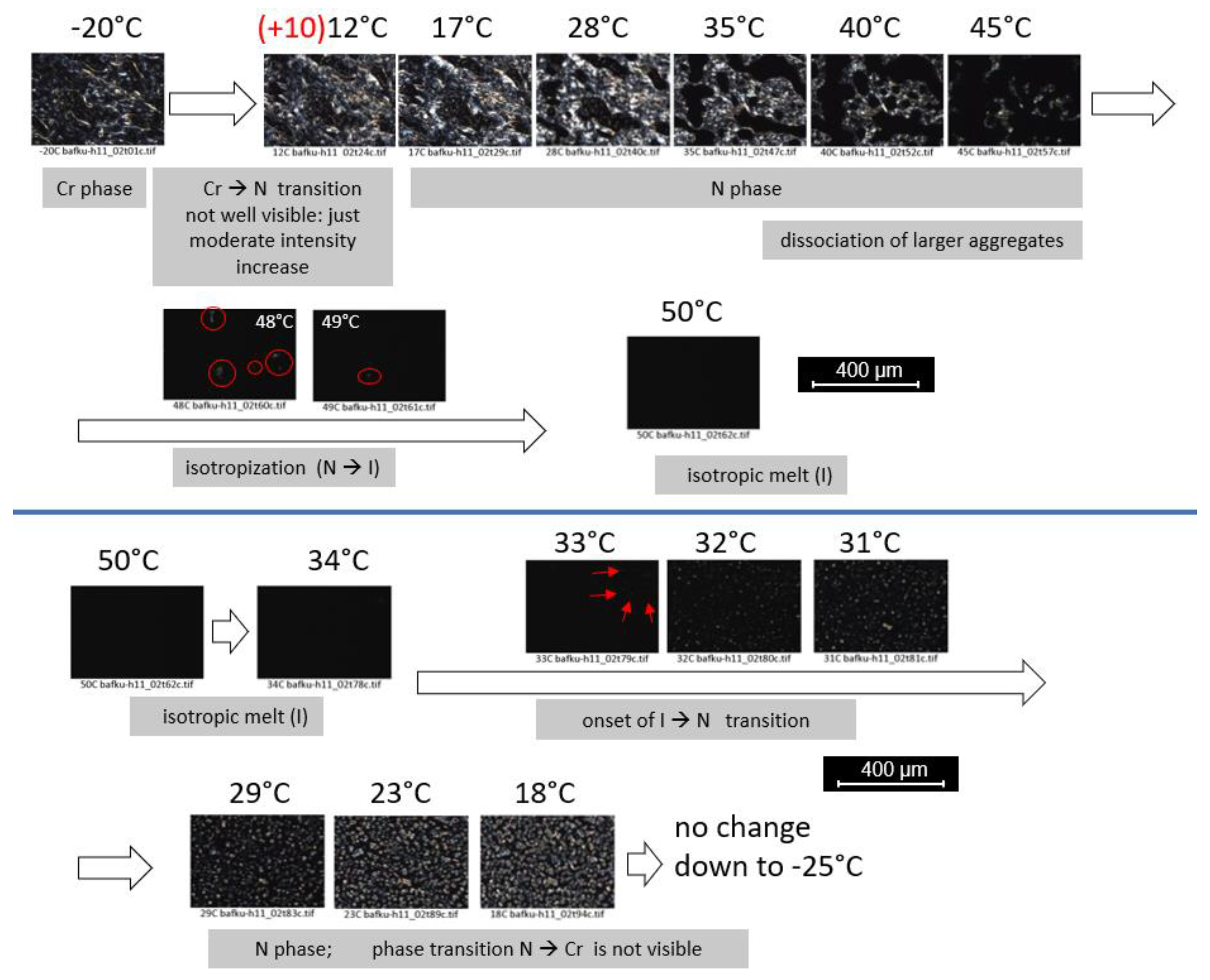 Polymers 12 02476 g007