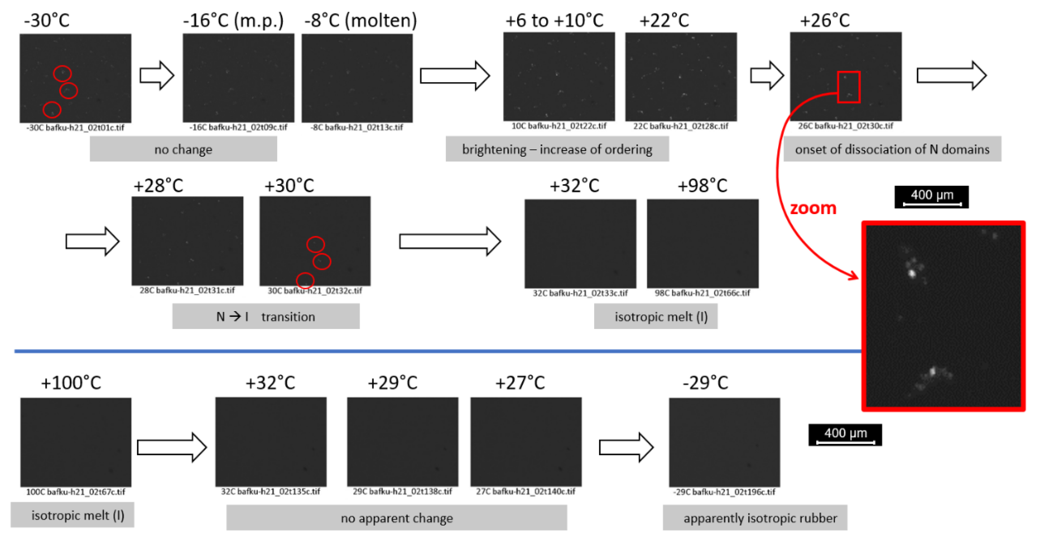 Polymers 12 02476 g008