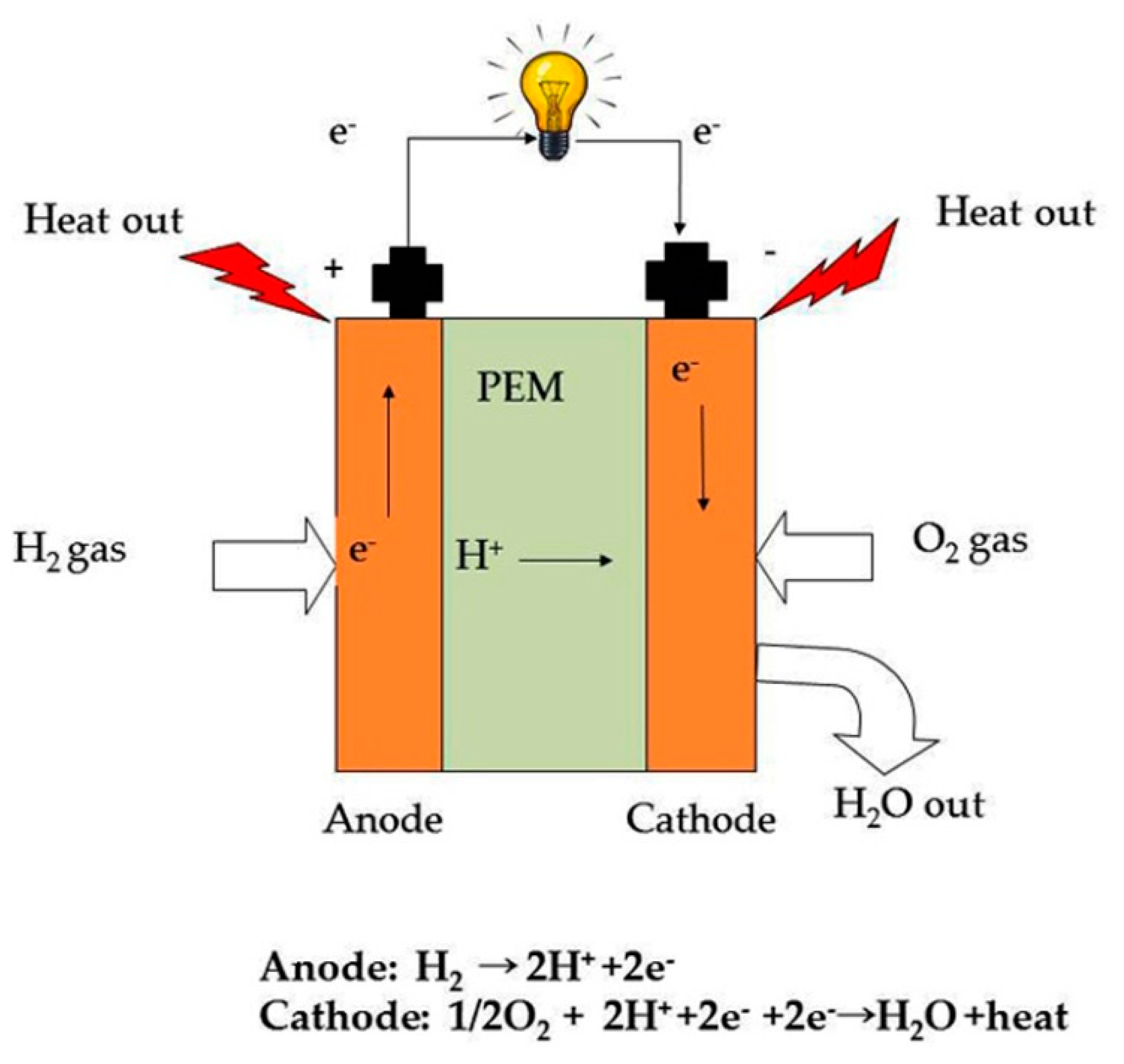 Polymers 12 02480 g001
