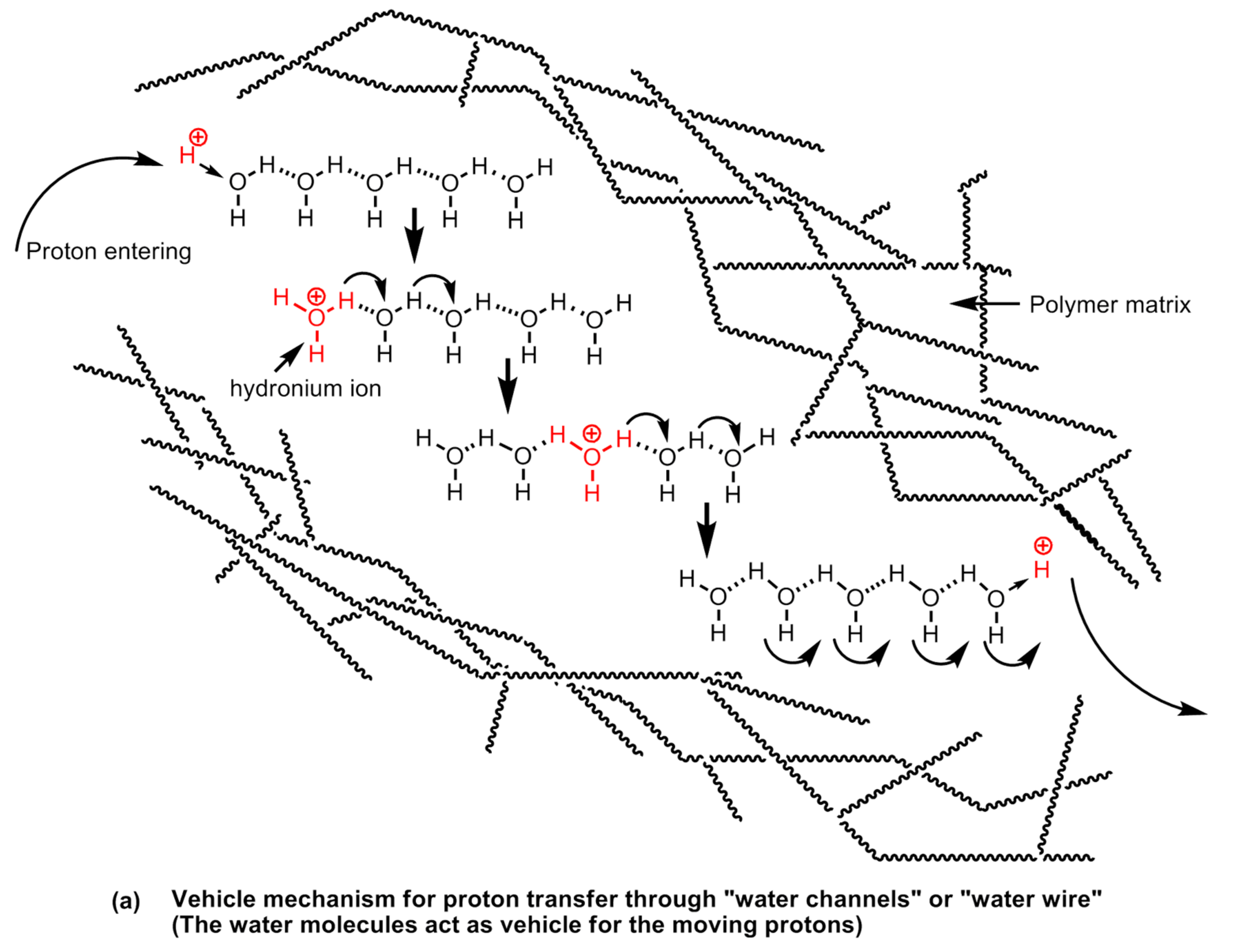 Polymers 12 02480 g028a