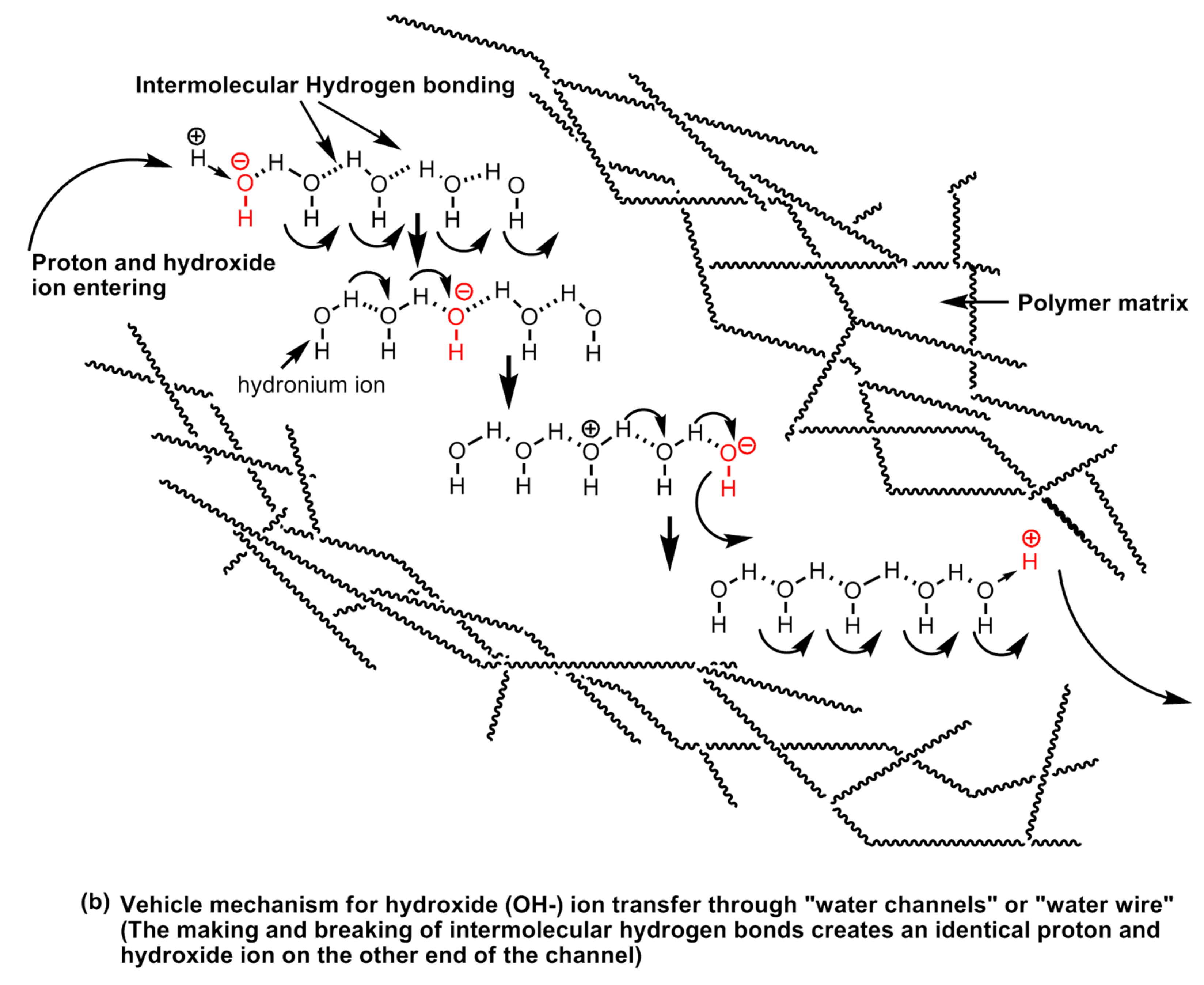 Polymers 12 02480 g028b