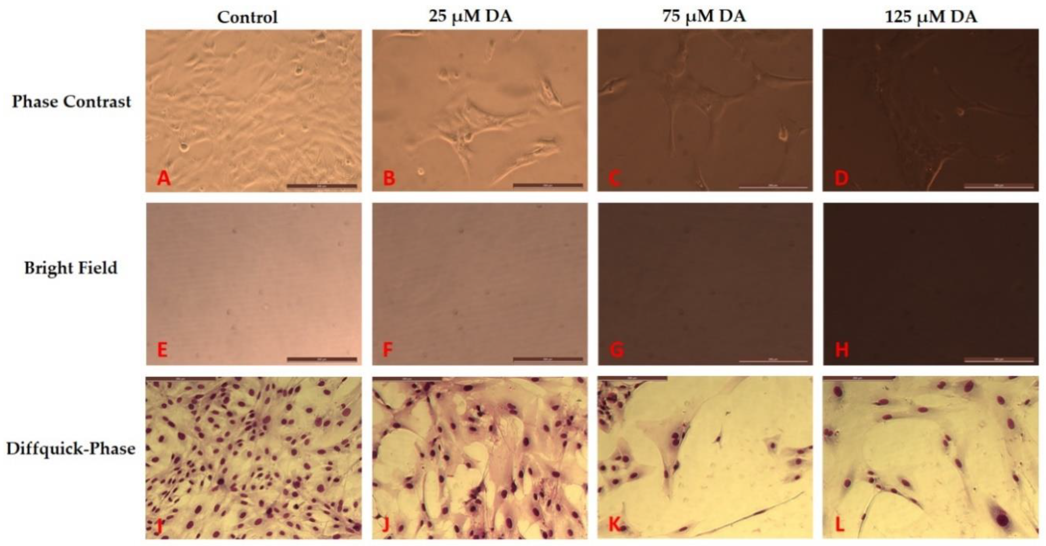 Polymers 12 02483 g003