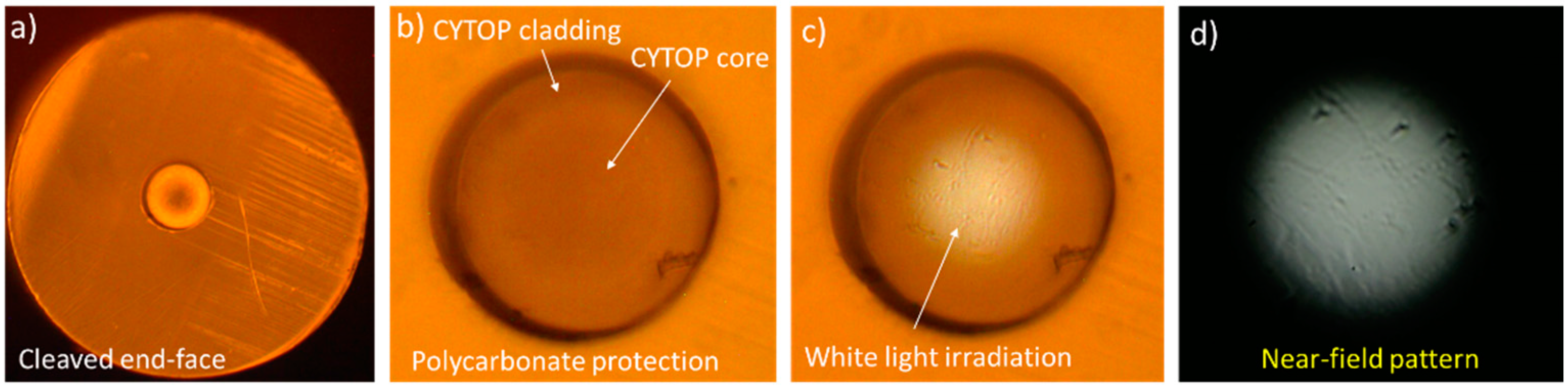 Polymers 12 02491 g003 Polymers 12 02491 g003