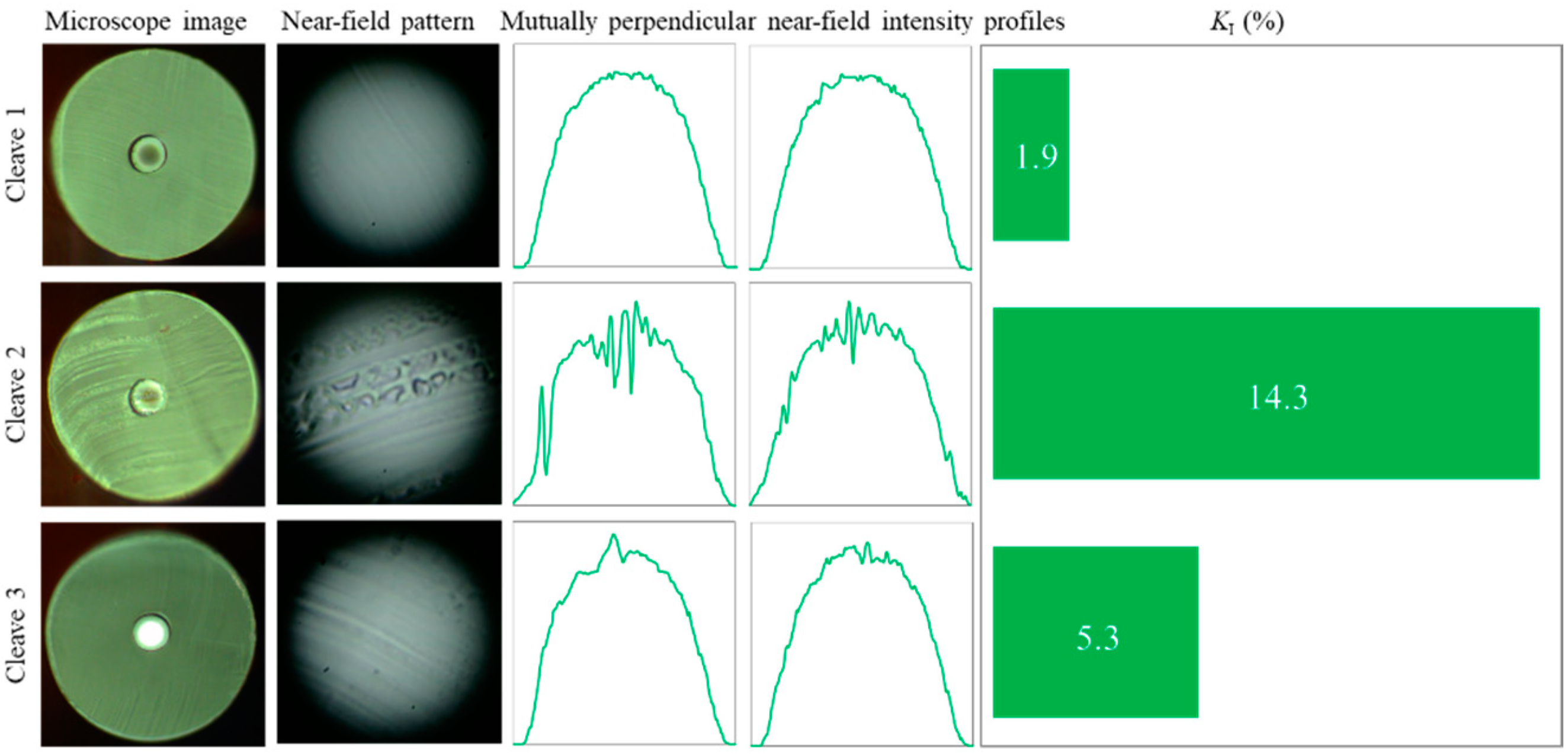 Polymers 12 02491 g006 Polymers 12 02491 g006