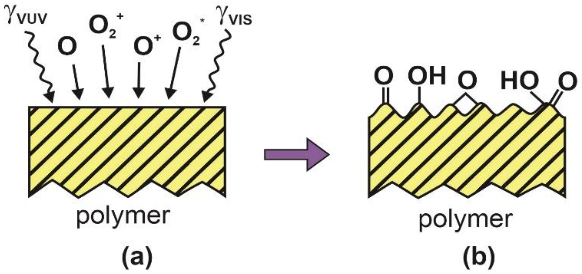 Polymers 12 02498 g001 Polymers 12 02498 g001