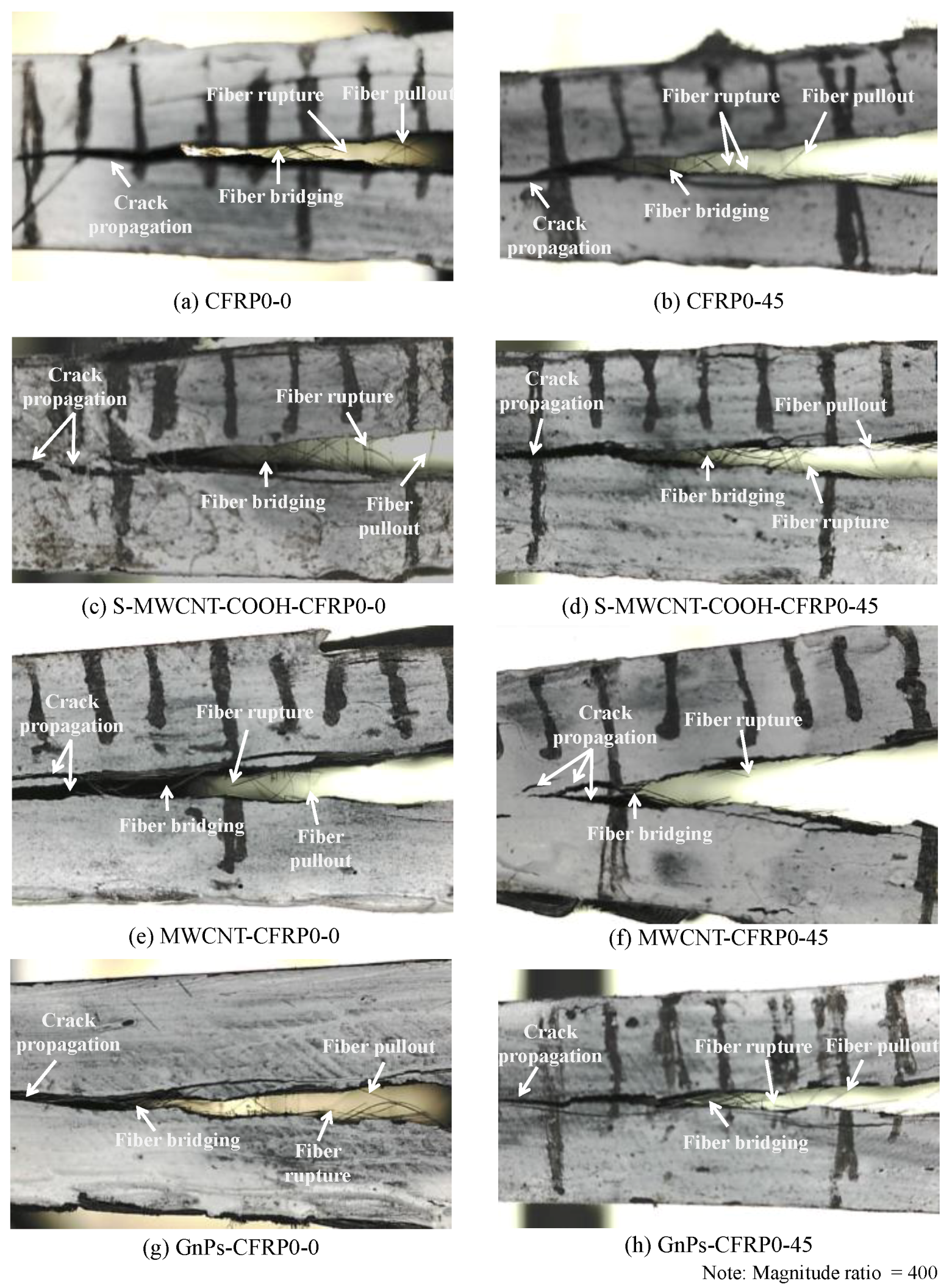 Polymers 12 02512 g014
