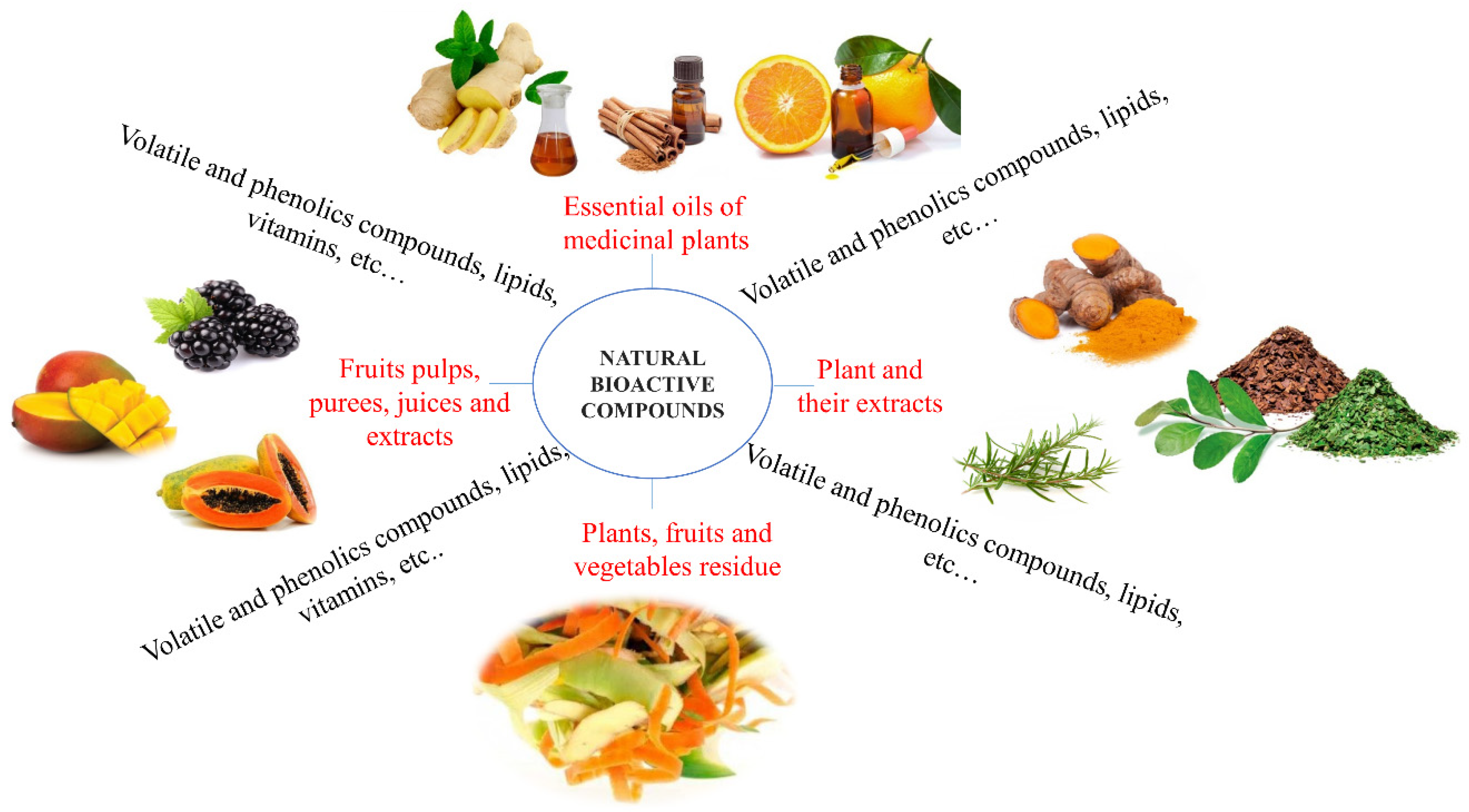 Polymers 12 02518 g002