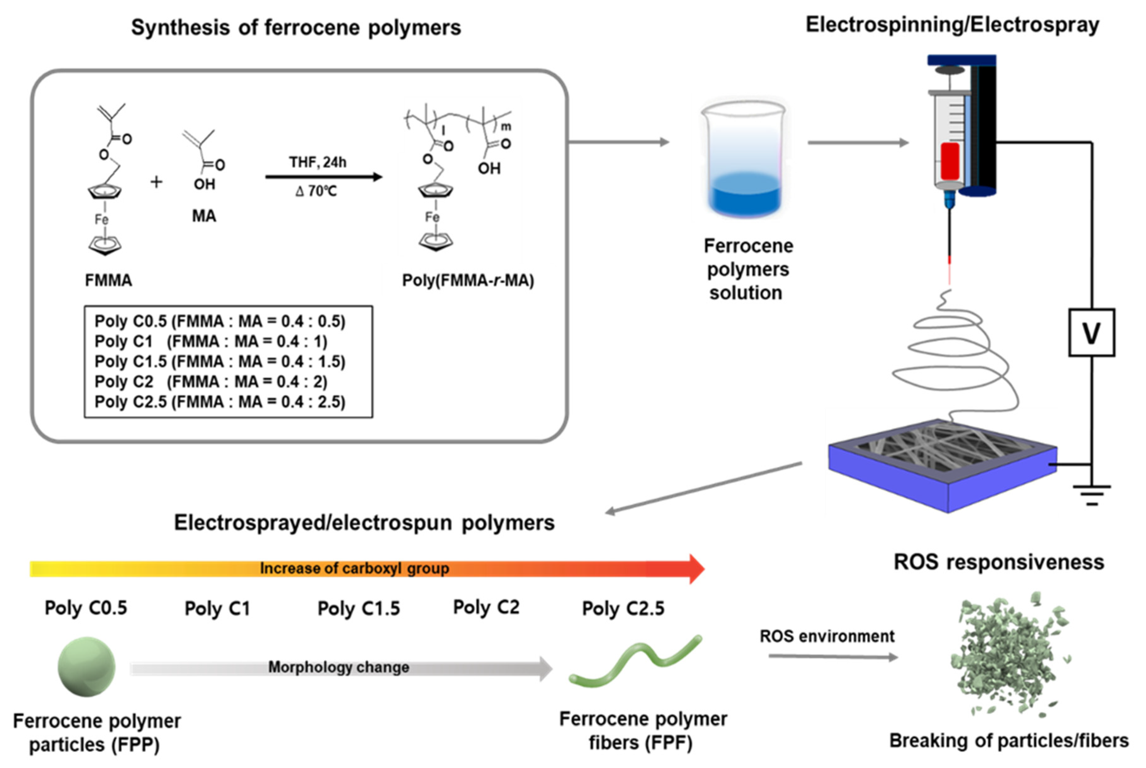 Polymers 12 02520 g001