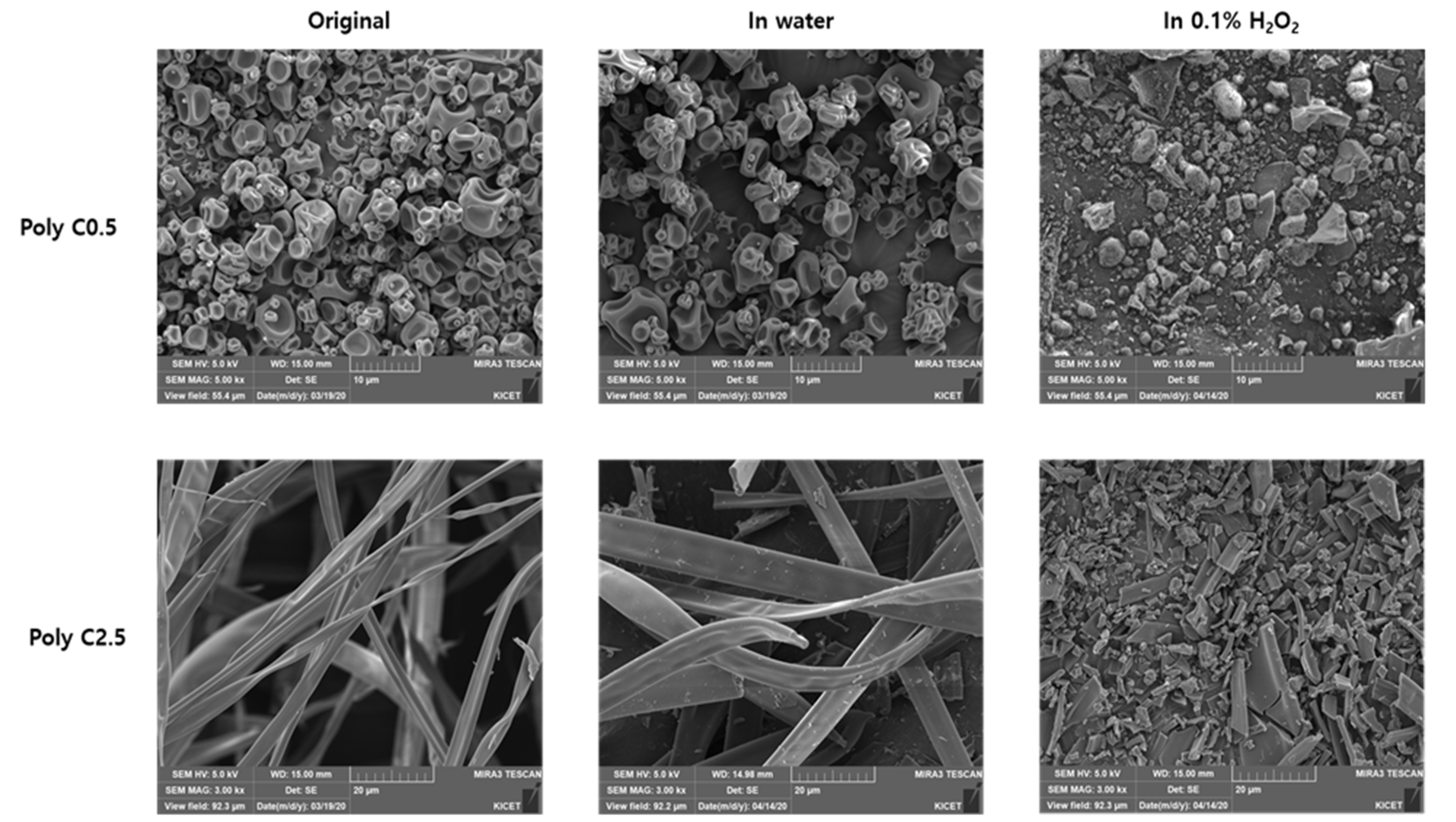 Polymers 12 02520 g006