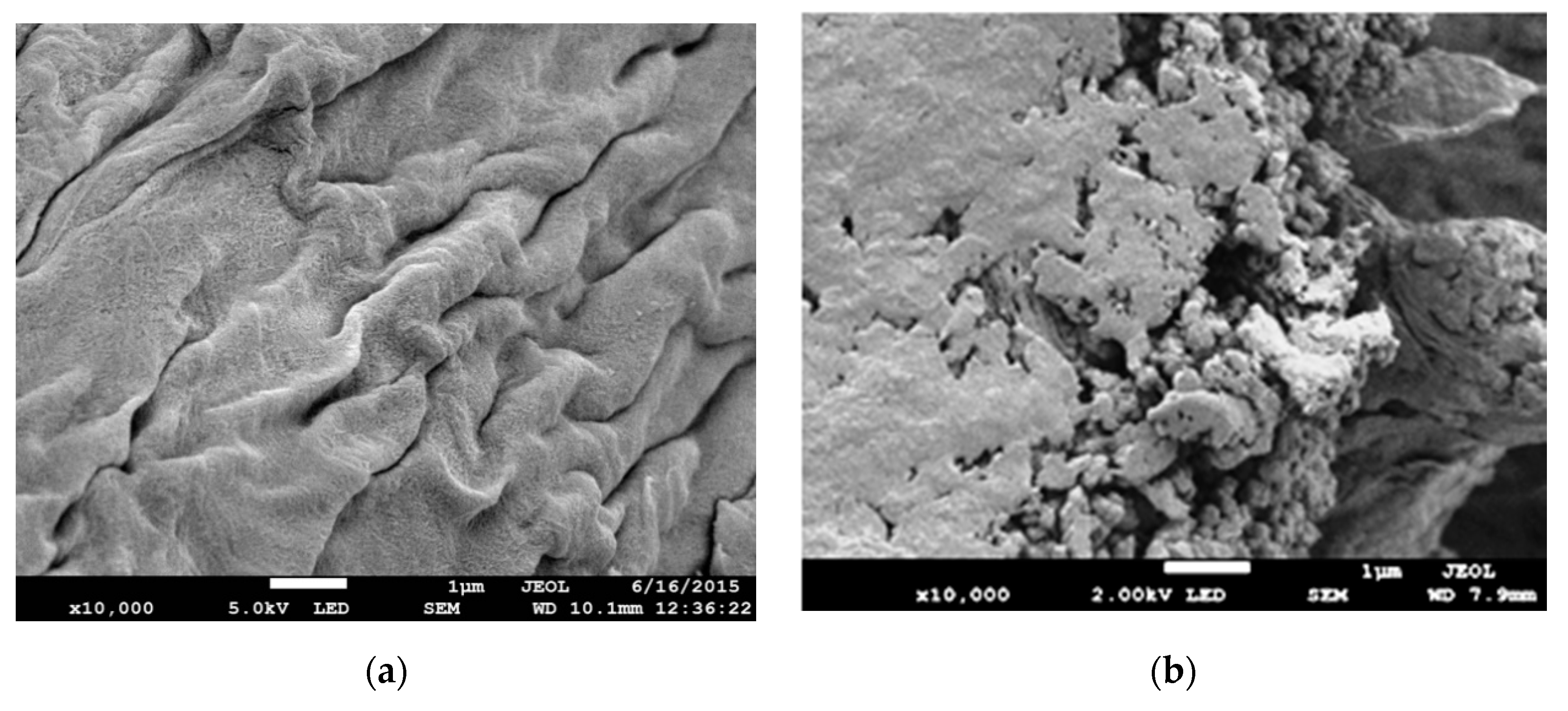 Polymers 12 02521 g004a