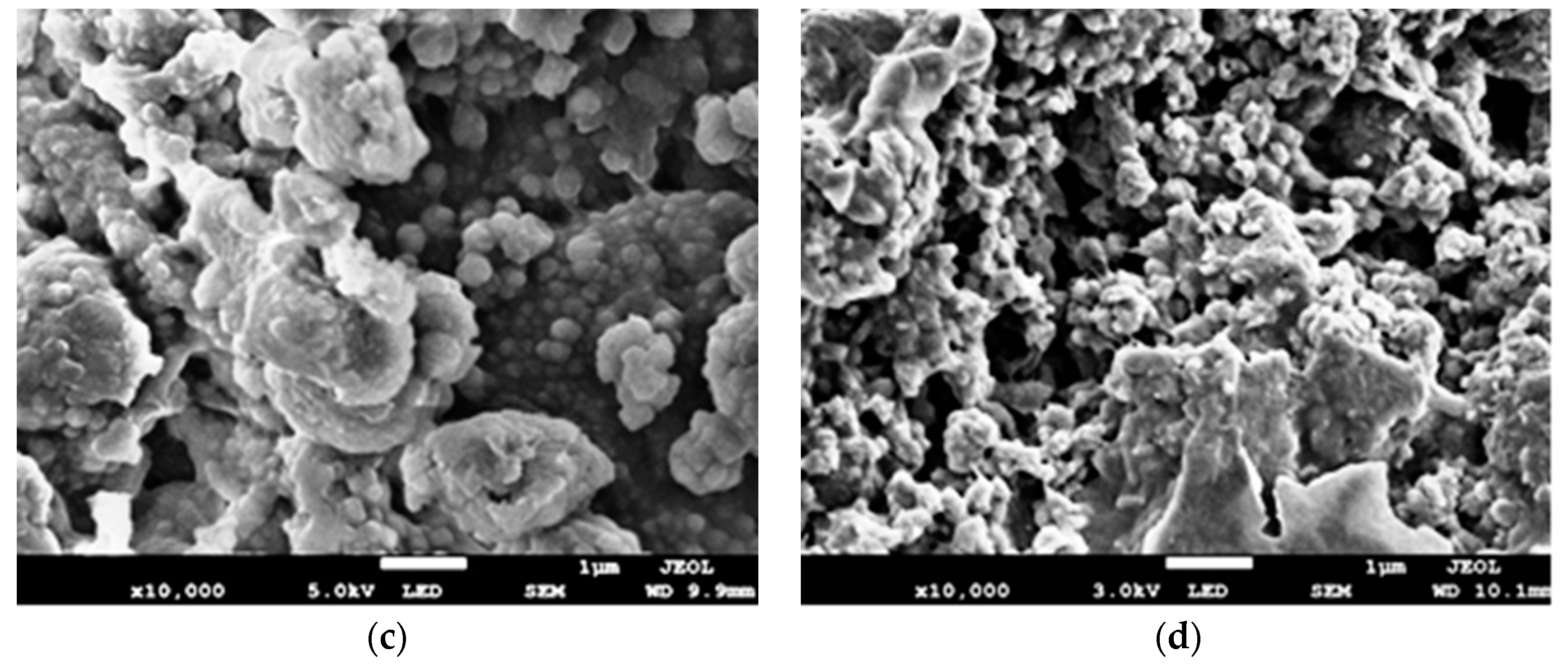 Polymers 12 02521 g004b