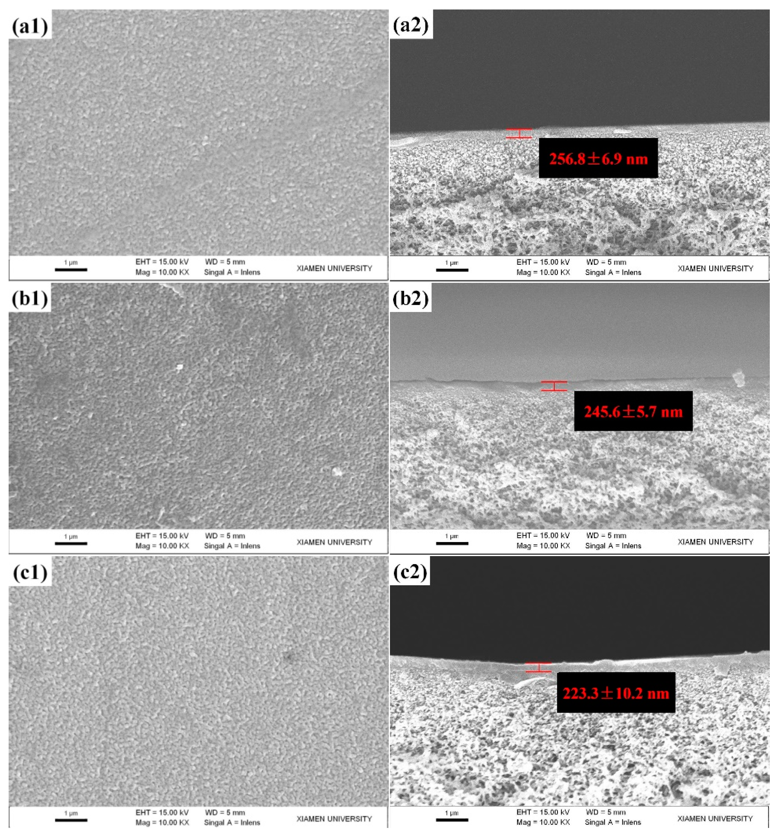 Polymers 12 02526 g001