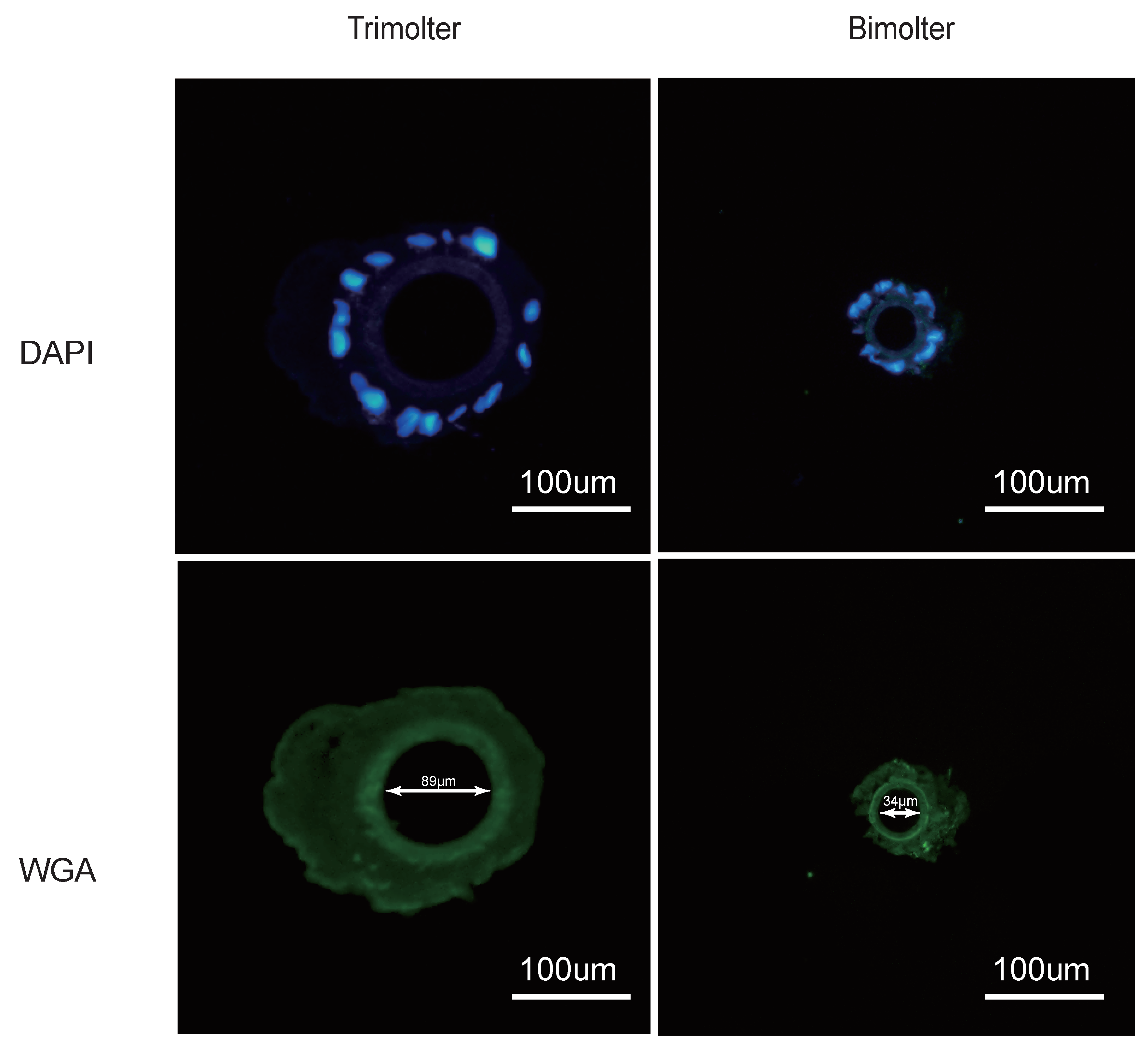 Polymers 12 02537 g005