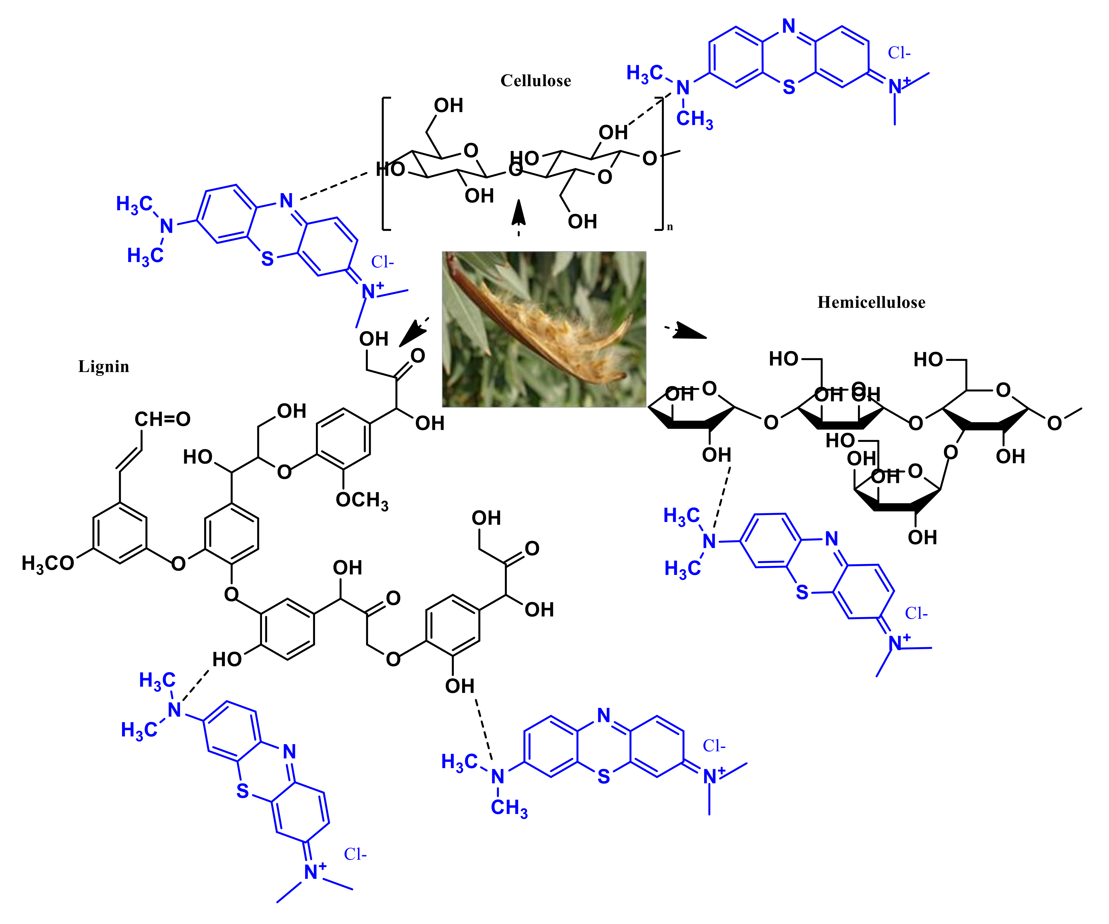 Polymers 12 02539 sch001