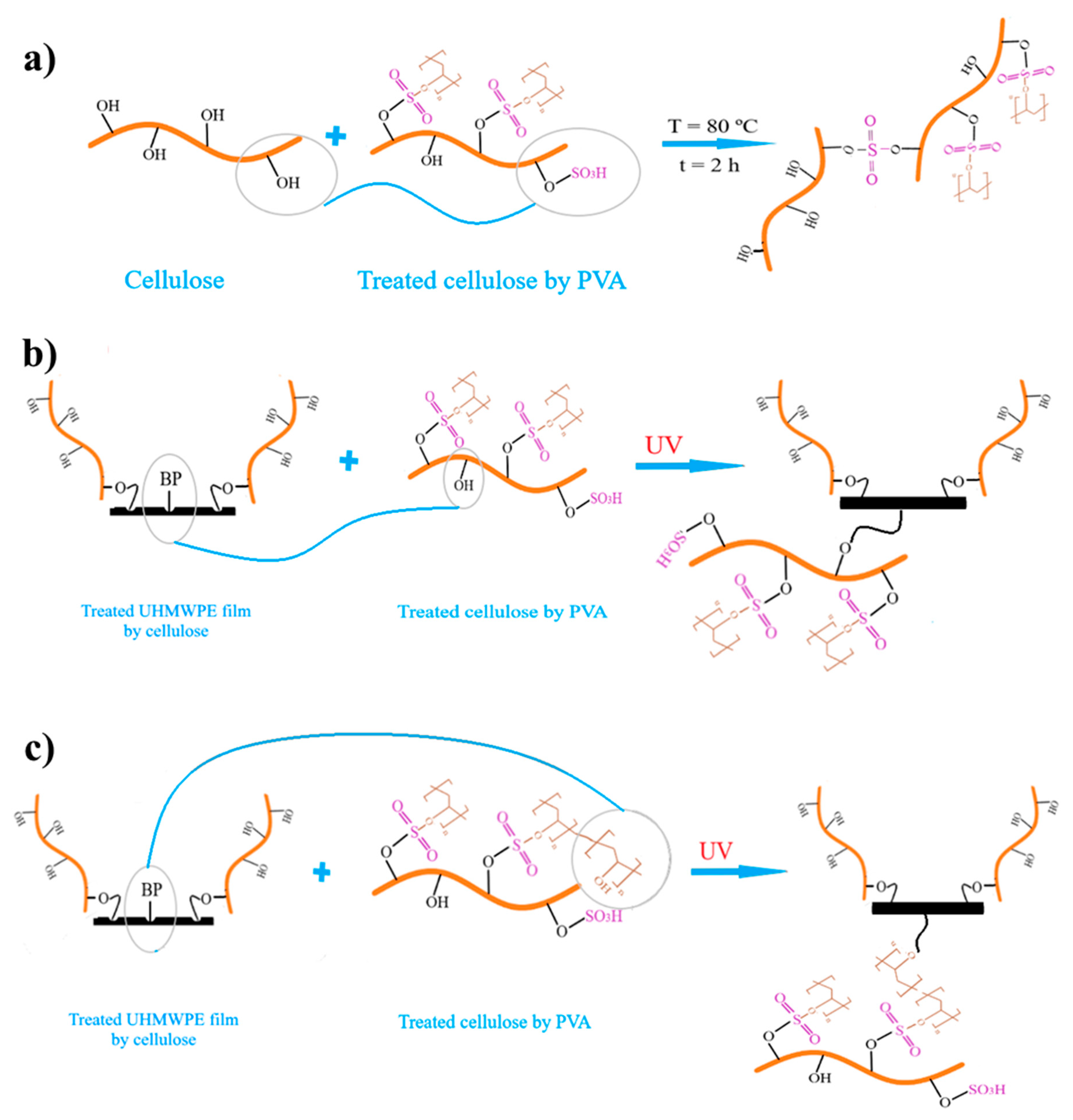Polymers 12 02545 g003