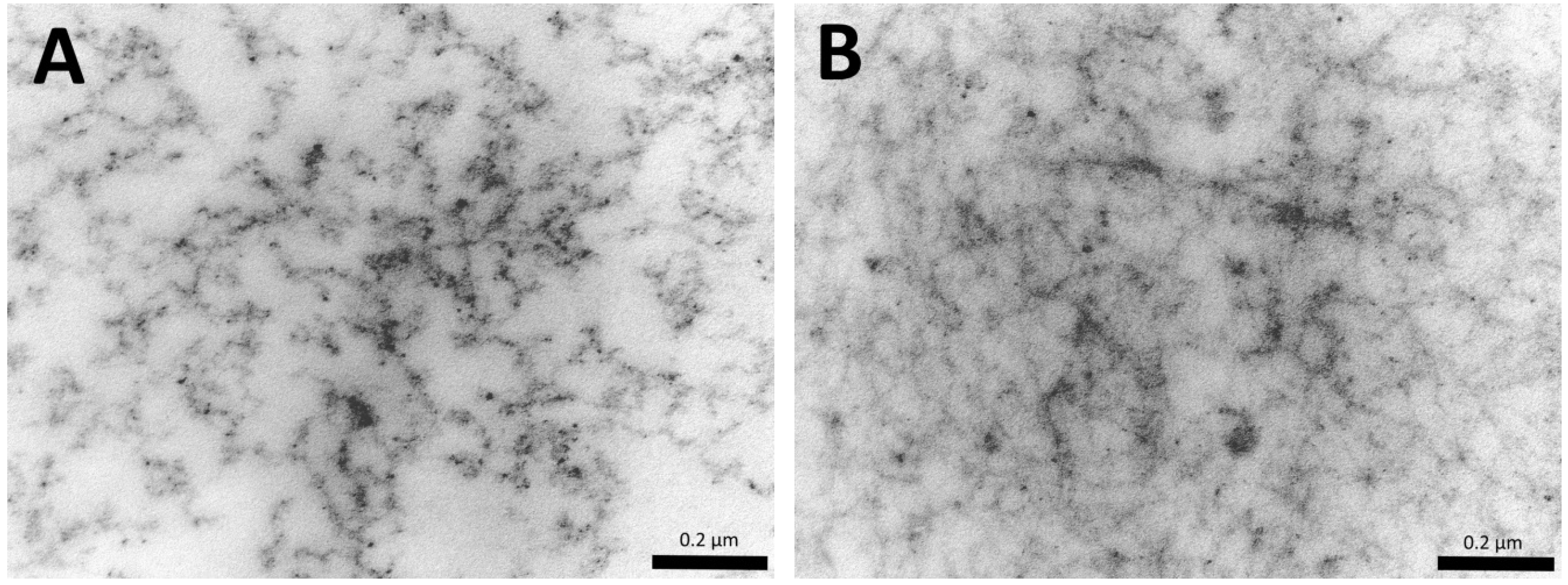 Polymers 12 02550 g004