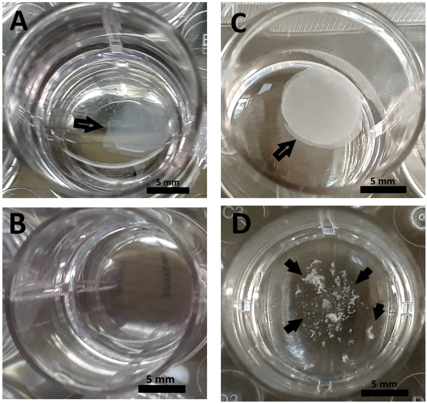 Polymers 12 02550 g007