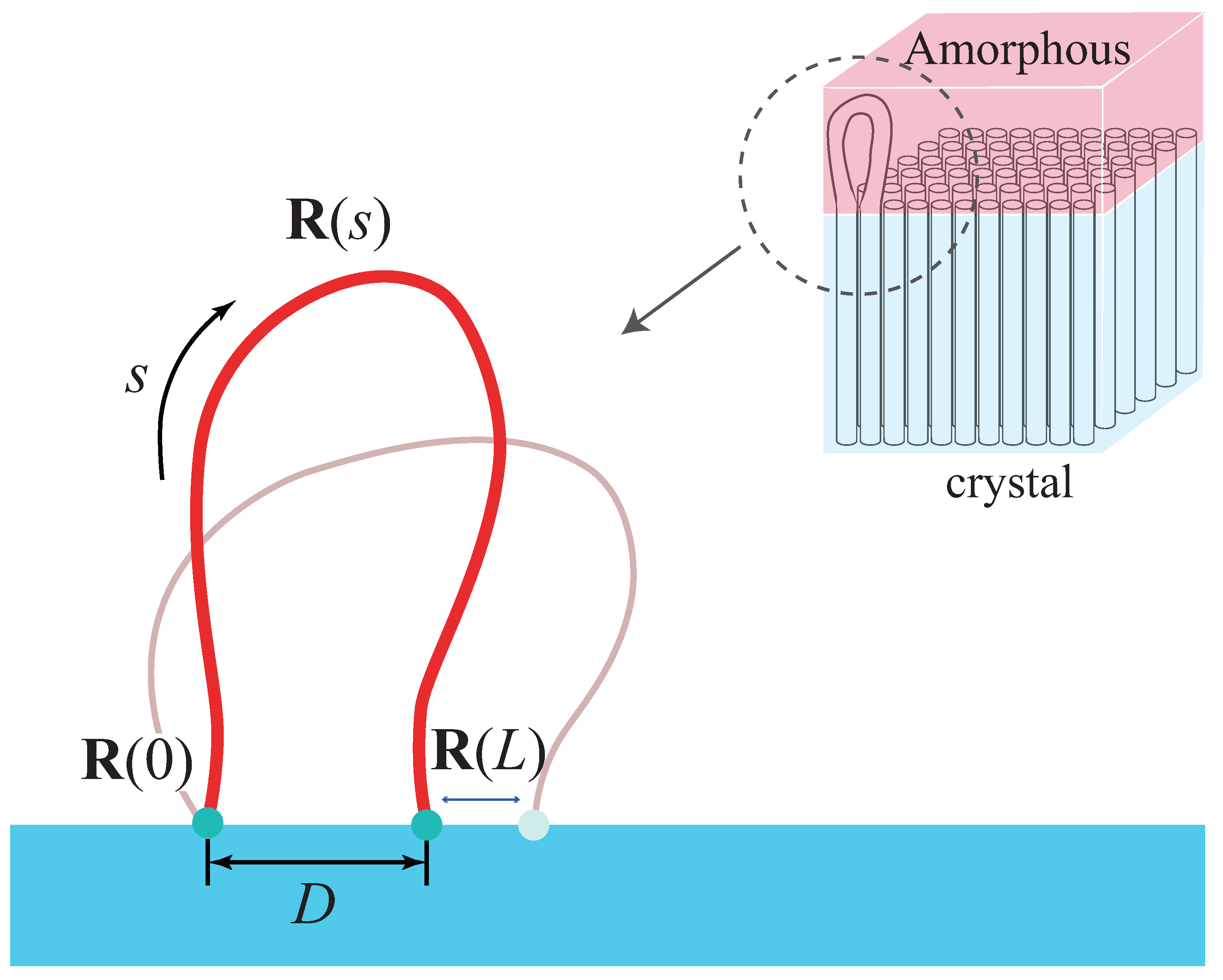 Polymers 12 02555 g001