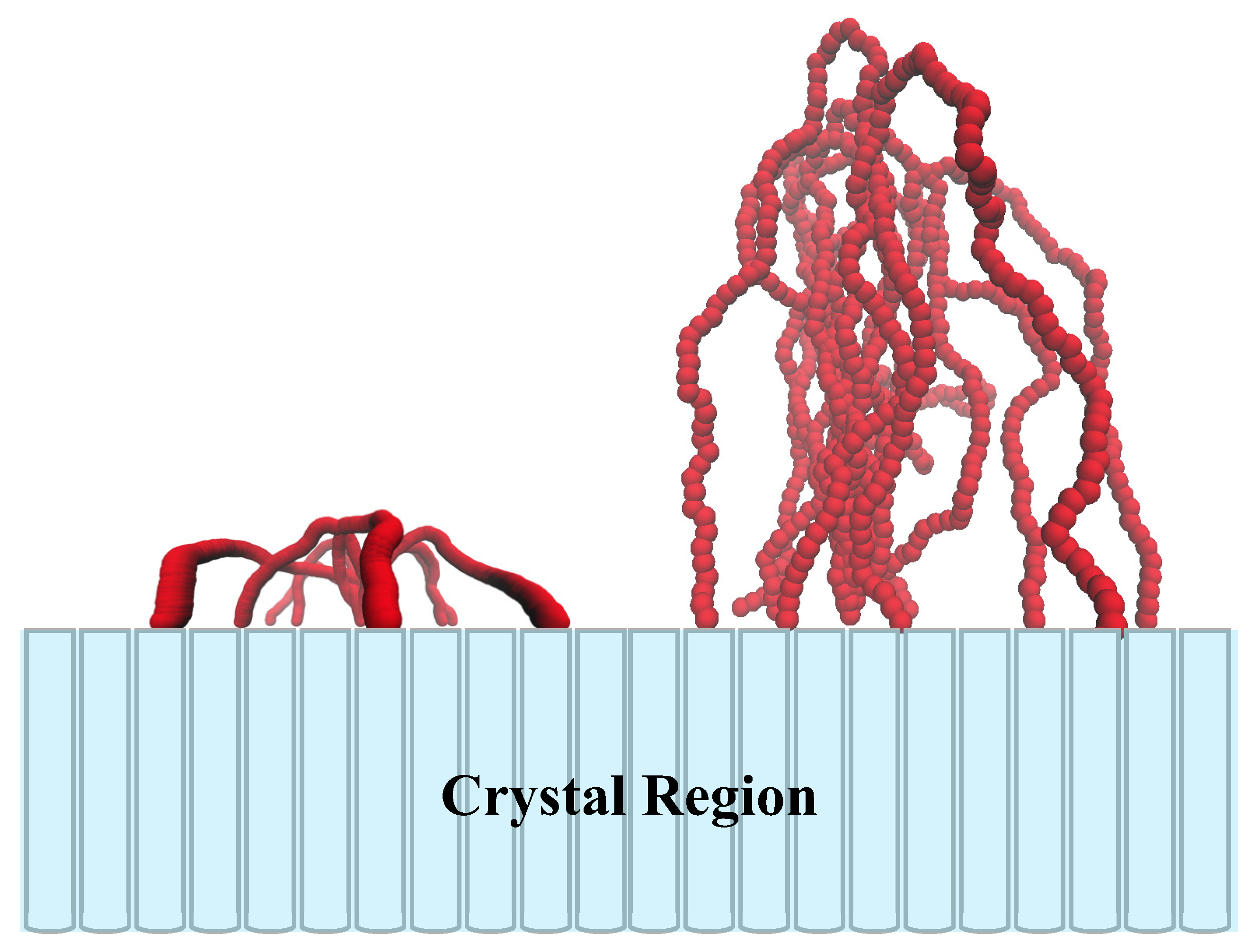 Polymers 12 02555 g004