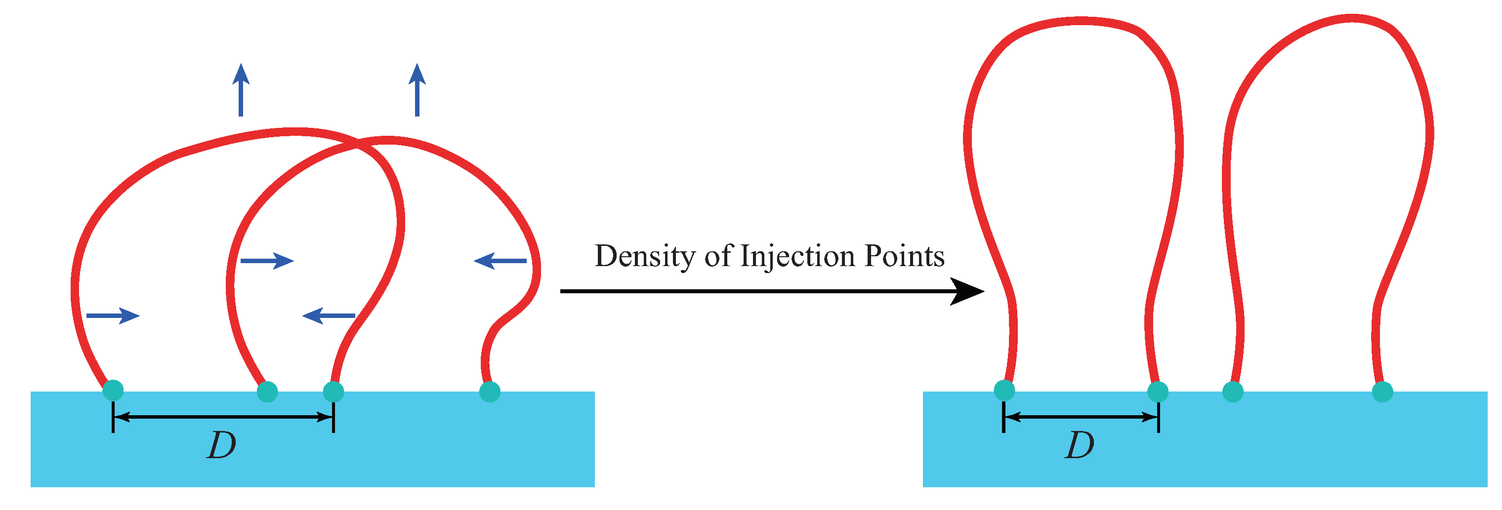 Polymers 12 02555 g011