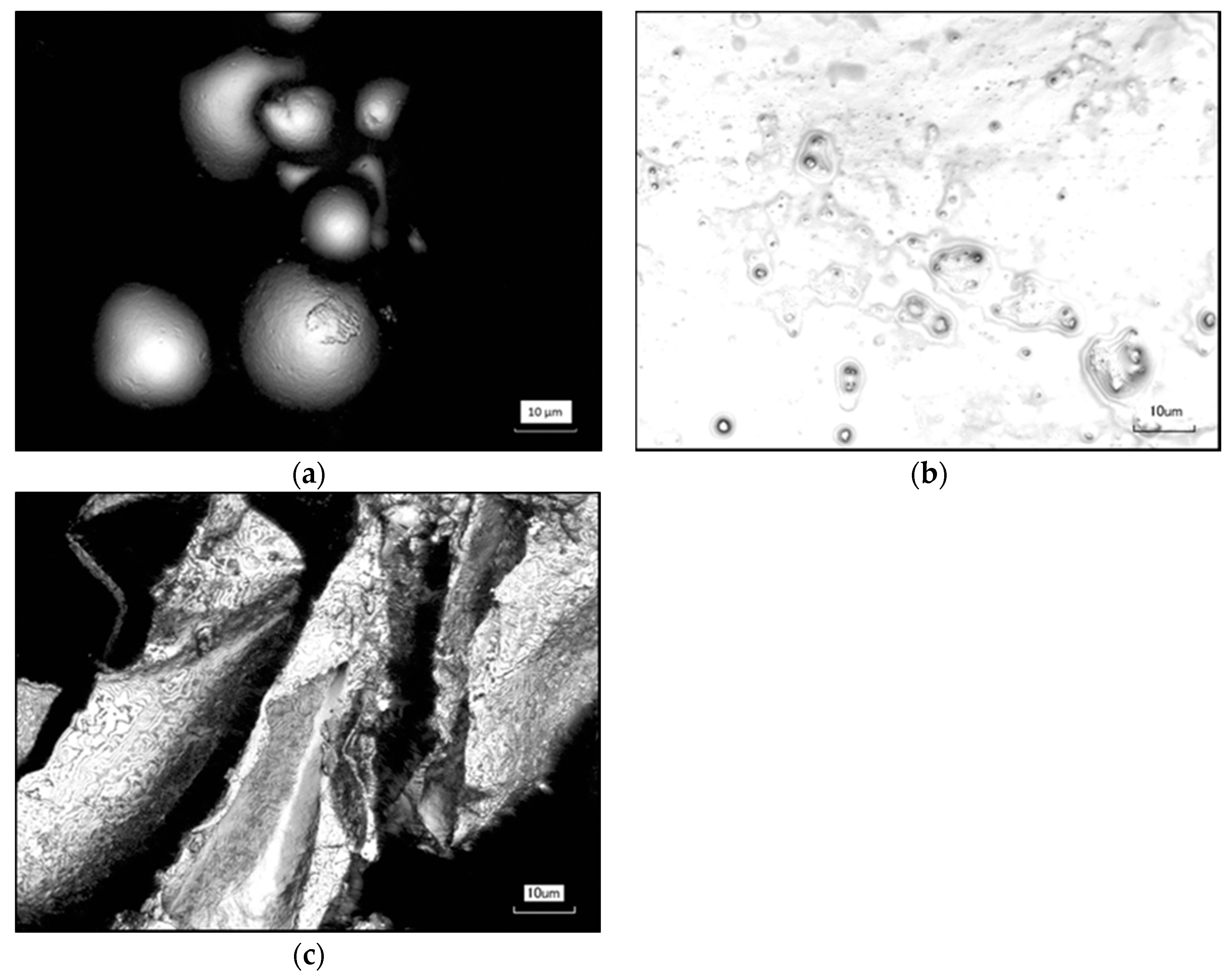 Polymers 12 02562 g003